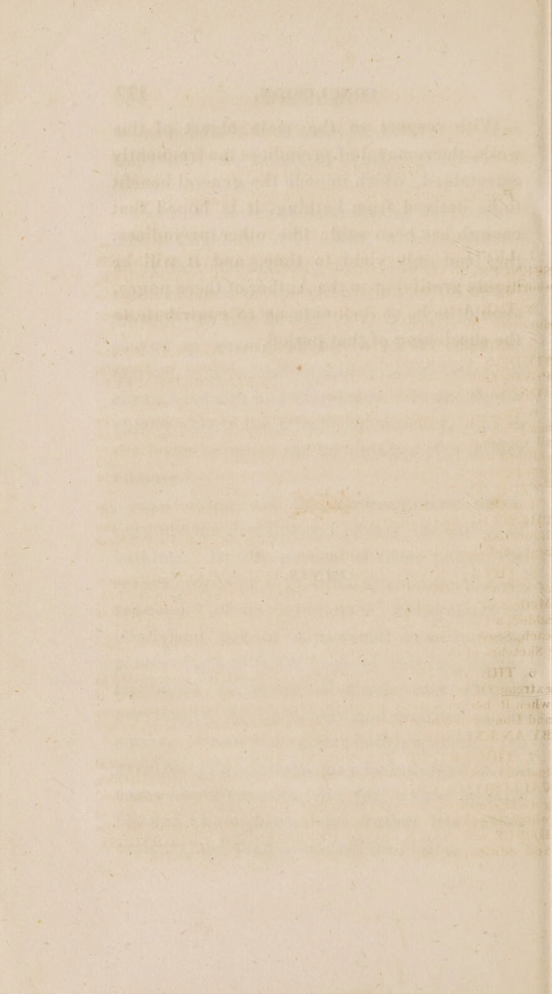 2 Sadia ak eat eet » ,aaethengasantee: it sion om ‘e. ; Pee pee i Las | rs — ey aa Hac aa Me si ‘ie 7 te & ae x ny Cpa NAS ae Ener is ip ie | oe : | see oe we gies i re ase kamen | Pie HER ee ae Ni suc nee in Vee tei 1 a ‘ec 7 han Me ‘ areauaboieeiae es he: Bere aah sous ier % ES Aas . katt ee : isis sabia at eta Pas seat AM a ; eee : Bu, : er arages ; adv aca i