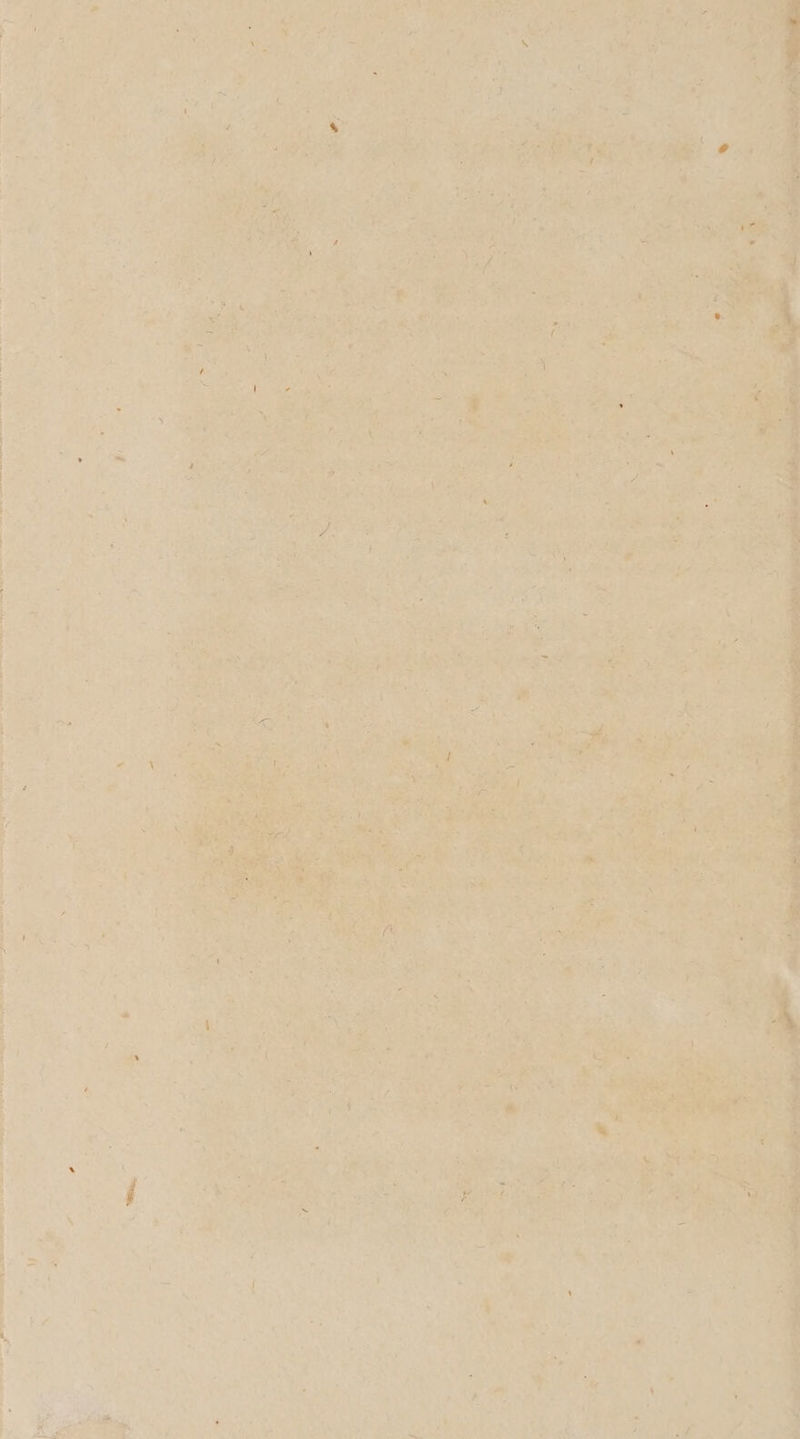OE ee Oy Rate ee! te: nae nt es OS My, | NT —~ seeping teleost ote, tahitian a Rae een ee a a ROO TER BNE OBE ee EOE - . te ie mrt et .