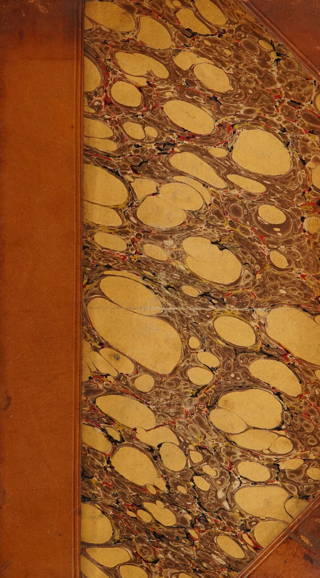 digitised image 1