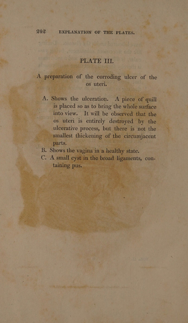 ae a EXPLANATION OF THE PLATES. i &gt; y wi “ taf ss , ae i gi ) ’ : Y ; us dn {rap hod ie ¥ f } PR DSi eA inna MMS en sci ym ' ae, a PA val vi P. ey \