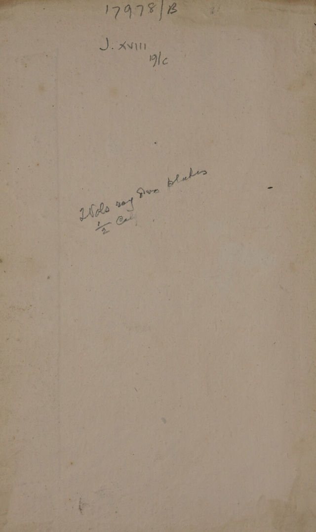 digitised image 2