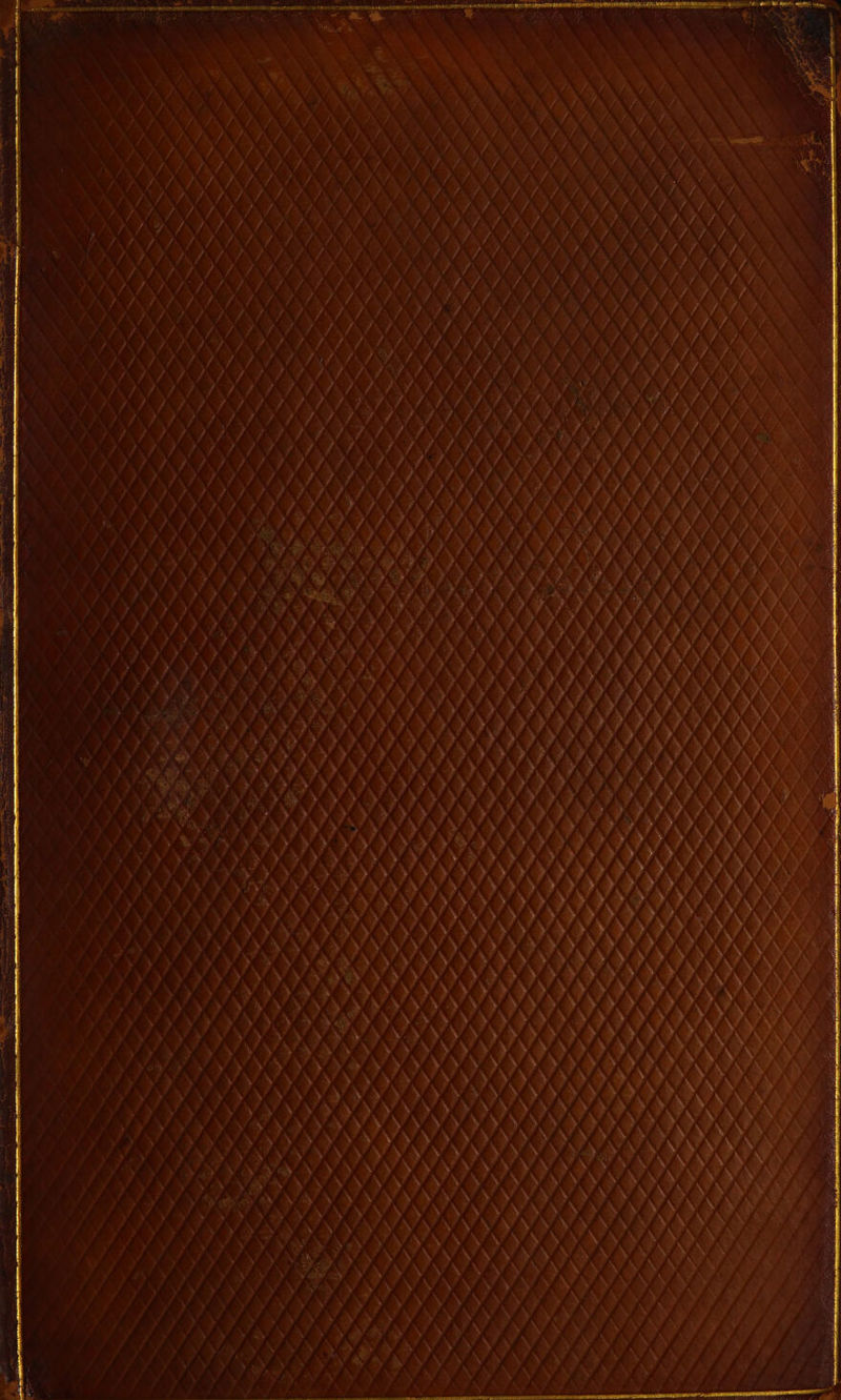 DA/)DPDPDPPIDPDD PY TO ™ NAN ANAN ANAL 7 MAN LMANANE NANLNE NANA NANA iM x 7X7 AN “4 NIN AANANANANANANL ‘¢\ ANANE 7 NAA x LIM a eS COCO DDD PPD DPD MAT Tat. OOO AE ET Fi vay D7, ry? e/ DPD DTD. 7yt Vi XK eC Ma, NOX Di, D7», Tx, Xx AN AN 4 ’ TTY e > KOK Ps my ) 2 uf Vr, AS / p> 4 CANAAN AANA COGS J, Xx; x «x MX) SO LAAAAS AX ANN | ADIDDADDPDIDIT SSO KK KAM ASAAAAQOCES X a SAAPAISS) Py) oy Oe RNA KNAANKAMAAA SAS AAN Set KAD IPs: eA, COCCC 27 x xr) 7, yn ry “x CAS on rn? NE NAN NANA ) MAN ANG Ne ae OO eee, ANANA Woes DY] Ox AKAAS (x TV S / KAX yy »/ ™ | ; \_ Z f LN / ee Wai XK. ry NASA val Pe ki »” » ) N AAPA eee, A? ? Pr. «i a, NASA ny y « yrs DOO SEM ae OMAN K / )) 9) VIPDID DP DA If NOK IEN CES yy Me i YOO yy ay SE SECECE ‘e Y) é { SO 7 vy) KA y, See > ee » he 4 ‘ ANA  a I) AEA y) ye »y ry Mi ony Hi Aan, ee ‘ | LD PDPAT ry) ) SOS y yy Xe ran OOOO) Ky RSE SESE wa 7 / 4 v Yi > > he OE APs a7 f » as ISA A yyy EAA KY EAM a Ost ryt SOOELE yey) és iy f AA BORE EEE KALLA MEAN, Ma Oe, yy) BAK Ke ee CA te ~y a > aii oI yy ?, » AD ) yy i i yyy. » % ye, A y %) / Hs Ms é Ke RE RAGE: oy x» » Jy ys Mei a, yy ») AN Hit BOSE &amp; Ke Aus y i > as He yy 5 ME ORO RL és yr) Ms EEE, Hi Ne EK a EECCERE OEE y ym »» CES yp id Lae »y? » ory » mn ») y yy x ? » Bian MOCCEKS. yy ; ) | x) ve RA » oe ry aa yy a My eR an AAA EG SA yds KX ») es aS Ke Ai oh ODI » Rann NC » Pe » >? a » ie CG Ly ny) yyy yyy OS yyy ( x »» MOOG > yr | PY PVP Var I, OX ) ) aN PPV EOC PREM EMM EOLA LL RSSOOOCECOE COOK » ean KA I: ue >), LK yy y’ ary | yyy Pr » DIS yy wre | yy yyy Renna’ > yy a | LPP Pyne? > ¥ © ae ry > aS | Py ys QM »» Ne Bie i, / : 7 Py SECOCRC yy yy aK KA Ras yy Wy a i CESSES i CREEK Asay? ly Ty ay yy ey ry, COCO OOCK A bE j ly) ay ¥ 2s >» » > rd x / \ \ Ty ST det a dy! Ny, x, » NY . \ \ \ Ny ' Fly) I MF OF MF al NAAR EAC KKK A AL WOOO MAK, Li KA ANAS ES KEK ‘ sie ha Elie ANA AA EE BAS id