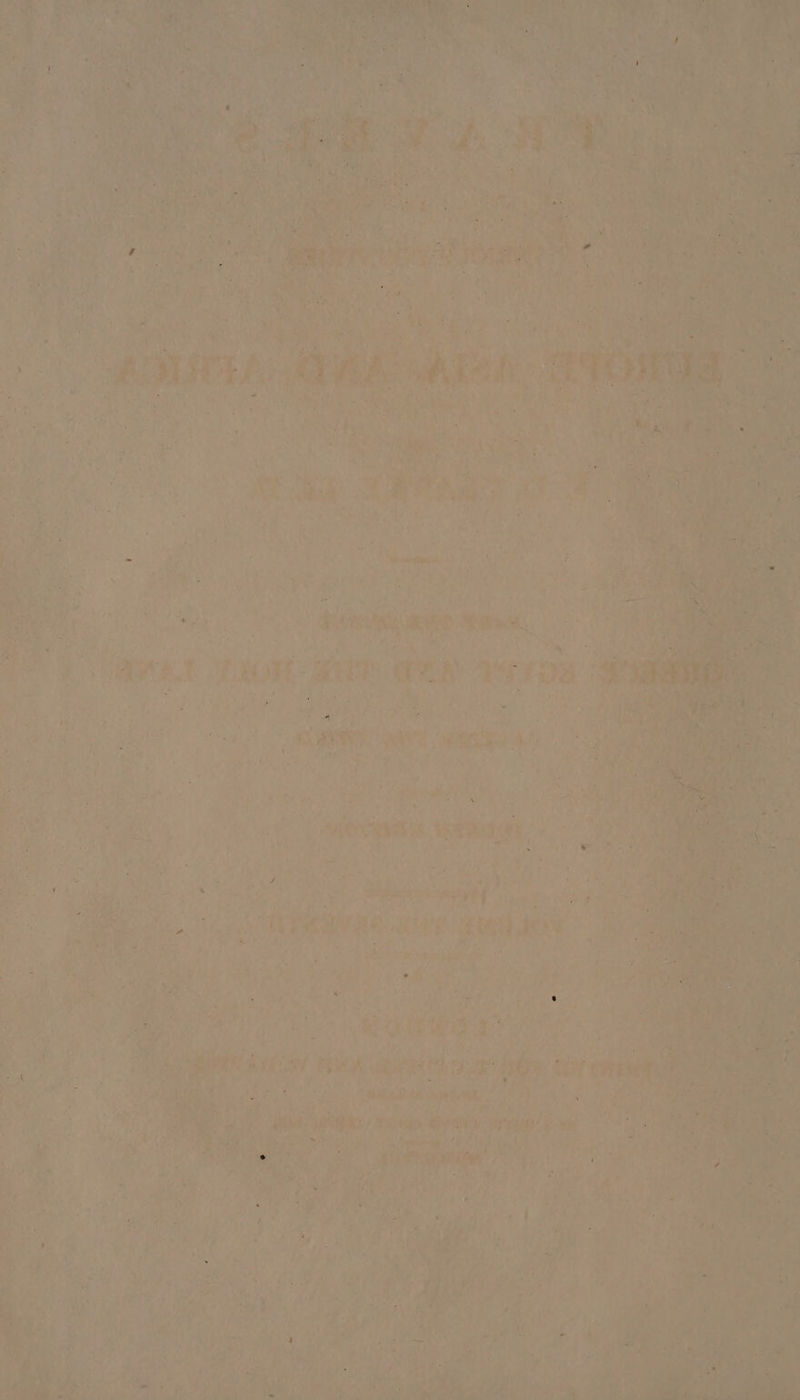 ip ¥ % (Big 1 Ae ; ite: 5, CRNA AL a F= ; ;