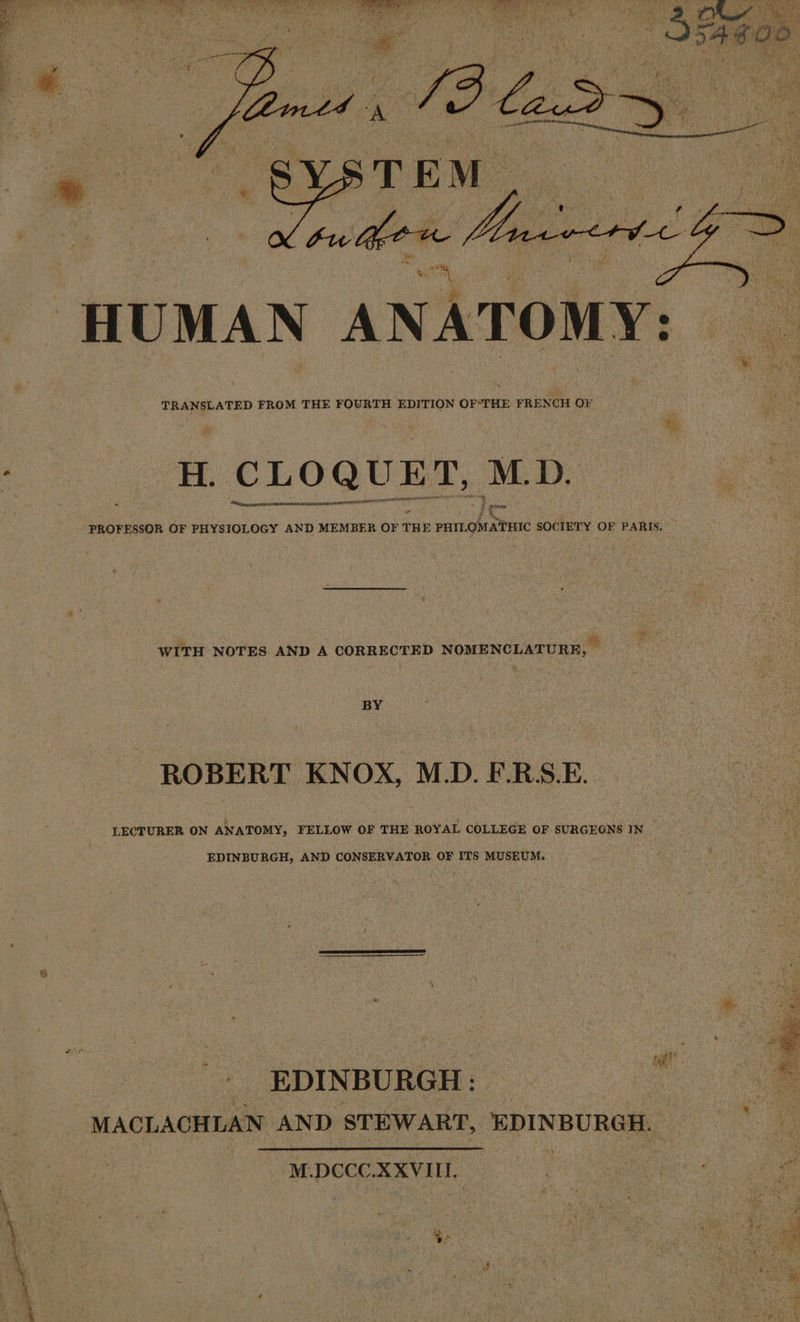 Pot Blas YSTEM HUMAN ANATOMY: TRANSLATED FROM THE FOURTH EDITION OFTHE FRENCH OF H. CLOQUET, M D. ME ESF PPT PE PROFESSOR OF PHYSIOLOGY AND MEMBER OF THE PHILOMATHIC SOCIETY OF PARIS. WITH NOTES AND A CORRECTED NOMENCLATURE, ~ BY ROBERT KNOX, M.D. F.RS.E. LECTURER ON ANATOMY, FELLOW OF THE ROYAL COLLEGE OF SURGEONS IN EDINBURGH, AND CONSERVATOR OF ITS MUSEUM. ner mr _ EDINBURGH: MACLACHLAN AND STEWART, EDINBURGH. M.DCCC.XXVIIL = 798 26