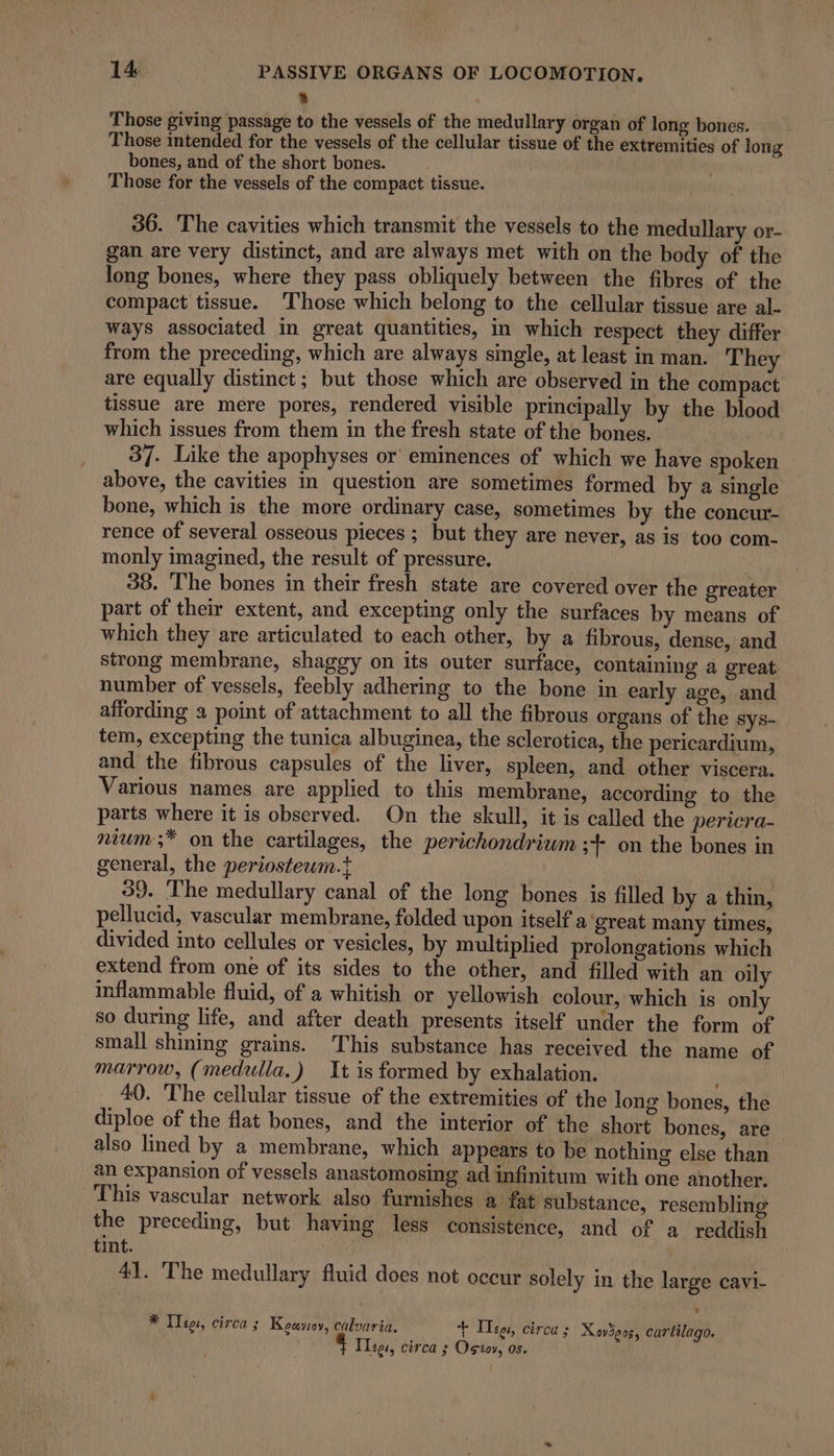 &gt; Those giving passage to the vessels of the medullary organ of long bones. Those intended for the vessels of the cellular tissue of the extremities of long bones, and of the short bones. } Those for the vessels of the compact tissue. 36. The cavities which transmit the vessels to the medullary or- gan are very distinct, and are always met with on the body of the long bones, where they pass obliquely between the fibres of the compact tissue. ‘Those which belong to the cellular tissue are al- Ways associated in great quantities, in which respect they differ from the preceding, which are always single, at least in man. They are equally distinct; but those which are observed in the compact tissue are mere pores, rendered visible principally by the blood which issues from them in the fresh state of the bones. 37. Like the apophyses or eminences of which we have spoken above, the cavities in question are sometimes formed by a single bone, which is the more ordinary case, sometimes by the concur- rence of several osseous pieces ; but they are never, as is too com- monly imagined, the result of pressure. 38. The bones in their fresh state are covered over the greater part of their extent, and excepting only the surfaces by means of which they are articulated to each other, by a fibrous, dense, and strong membrane, shaggy on its outer surface, containing a great number of vessels, feebly adhering to the bone in early age, and affording a point of attachment to all the fibrous organs of the sys- tem, excepting the tunica albuginea, the sclerotica, the pericardium, and the fibrous capsules of the liver, spleen, and other viscera. Various names are applied to this membrane, according to the parts where it is observed. On the skull, it is called the pericra- nium ;* on the cartilages, the perichondrium ;+ on the bones in general, the periostewm.t 39. The medullary canal of the long bones is filled by a thin, pellucid, vascular membrane, folded upon itself a great many times, divided into cellules or vesicles, by multiplied prolongations which extend from one of its sides to the other, and filled with an oily inflammable fluid, of a whitish or yellowish colour, which is only so during life, and after death presents itself under the form of small shining grains. This substance has received the name of marrow, (medulla.) It is formed by exhalation. 40. The cellular tissue of the extremities of the long bones, the diploe of the flat bones, and the interior of the short bones, are also lined by a membrane, which appears to be nothing else than an expansion of vessels anastomosing ad infinitum with one another. This vascular network also furnishes a fat substance, resembling the preceding, but having less consistence, and of a reddish tint. 41. The medullary fluid does not occur solely in the large cavi- * Iles, circa ; Koaysoy, calouria. + Ie, circa; Xondpos, cartilago. [lie circa ; Ostov, os.