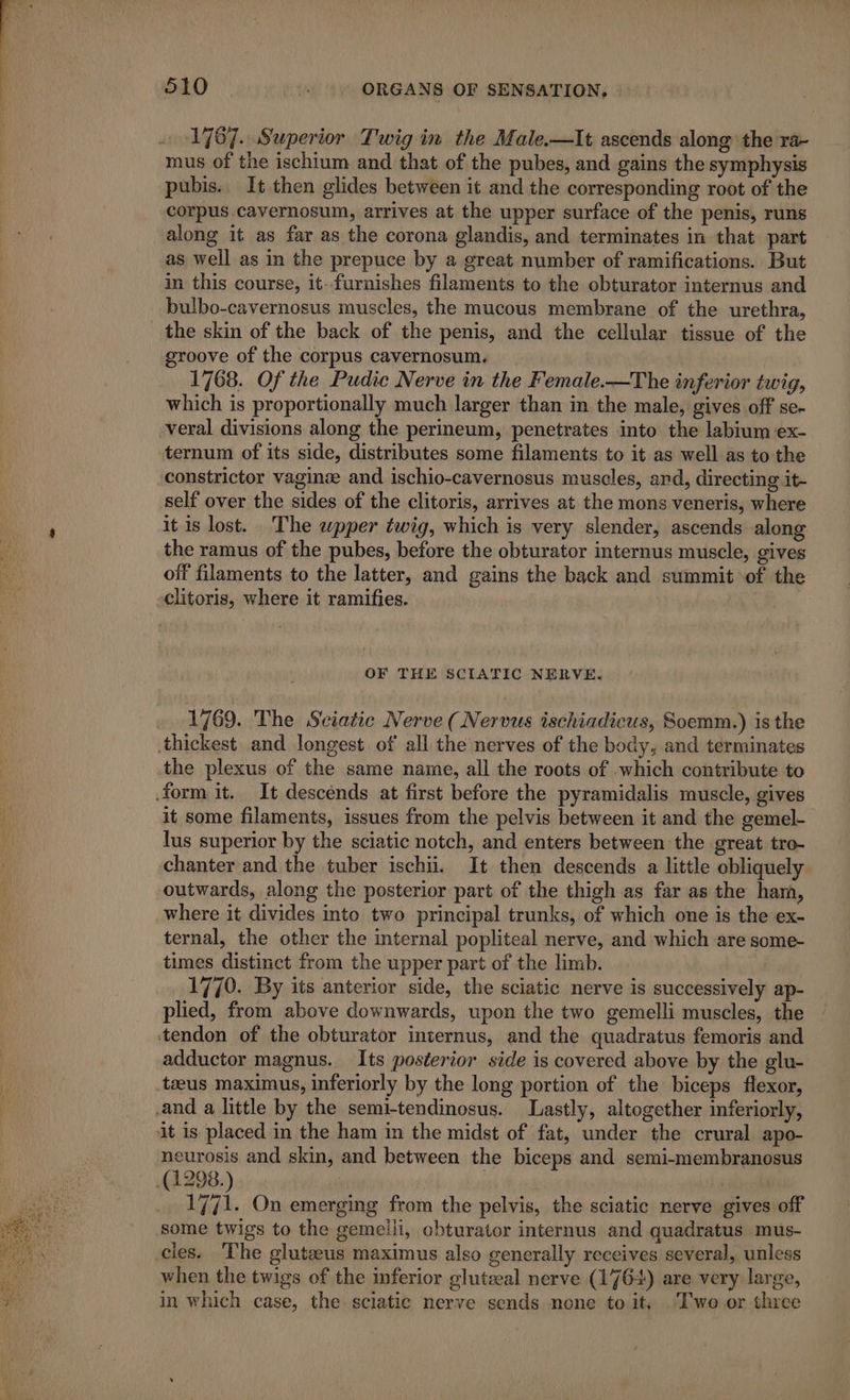 mus of the ischium and that of the pubes, and gains the symphysis pubis. It then glides between it and the corresponding root of the corpus cavernosum, arrives at the upper surface of the penis, runs along it as far as the corona glandis, and terminates in that part as well as in the prepuce by a great number of ramifications. But in this course, it-furnishes filaments to the obturator internus and bulbo-cavernosus muscles, the mucous membrane of the urethra, the skin of the back of the penis, and the cellular tissue of the groove of the corpus cavernosum. 1768. Of the Pudic Nerve in the Female.—The inferior twig, which is proportionally much larger than in the male, gives off se- ternum of its side, distributes some filaments to it as well as to the constrictor vaginæ and ischio-cavernosus muscles, and, directing jit- self over the sides of the clitoris, arrives at the mons veneris, where it is lost. The wpper twig, which is very slender, ascends along the ramus of the pubes, before the obturator internus muscle, gives off filaments to the latter, and gains the back and summit of the clitoris, where it ramifies. OF THE SCIATIC NERVE. 1769. The Sciatic Nerve (Nervus ischiadicus, Soemm.) is the the plexus of the same name, all the roots of which contribute to it some filaments, issues from the pelvis between it and the gemel- lus superior by the sciatic notch, and enters between the great tro- chanter and the tuber ischii. It then descends a little obliquely outwards, along the posterior part of the thigh as far as the ham, where it divides into two principal trunks, of which one is the ex- ternal, the other the internal popliteal nerve, and which are some- times distinct from the upper part of the limb. | 1770. By its anterior side, the sciatic nerve is successively ap- plied, from above downwards, upon the two gemelli muscles, the adductor magnus. Its posterior side is covered above by the glu- tæus maximus, inferiorly by the long portion of the biceps flexor, neurosis and skin, and between the biceps and semi-membranosus 1771. On emerging from the pelvis, the sciatic nerve gives off some twigs to the gemelli, obturator internus and quadratus mus- cles. The glutæus maximus also generally receives several, unless when the twigs of the inferior glutæal nerve (176+) are very large, in which case, the sciatic nerve sends none to it, ‘Two or three