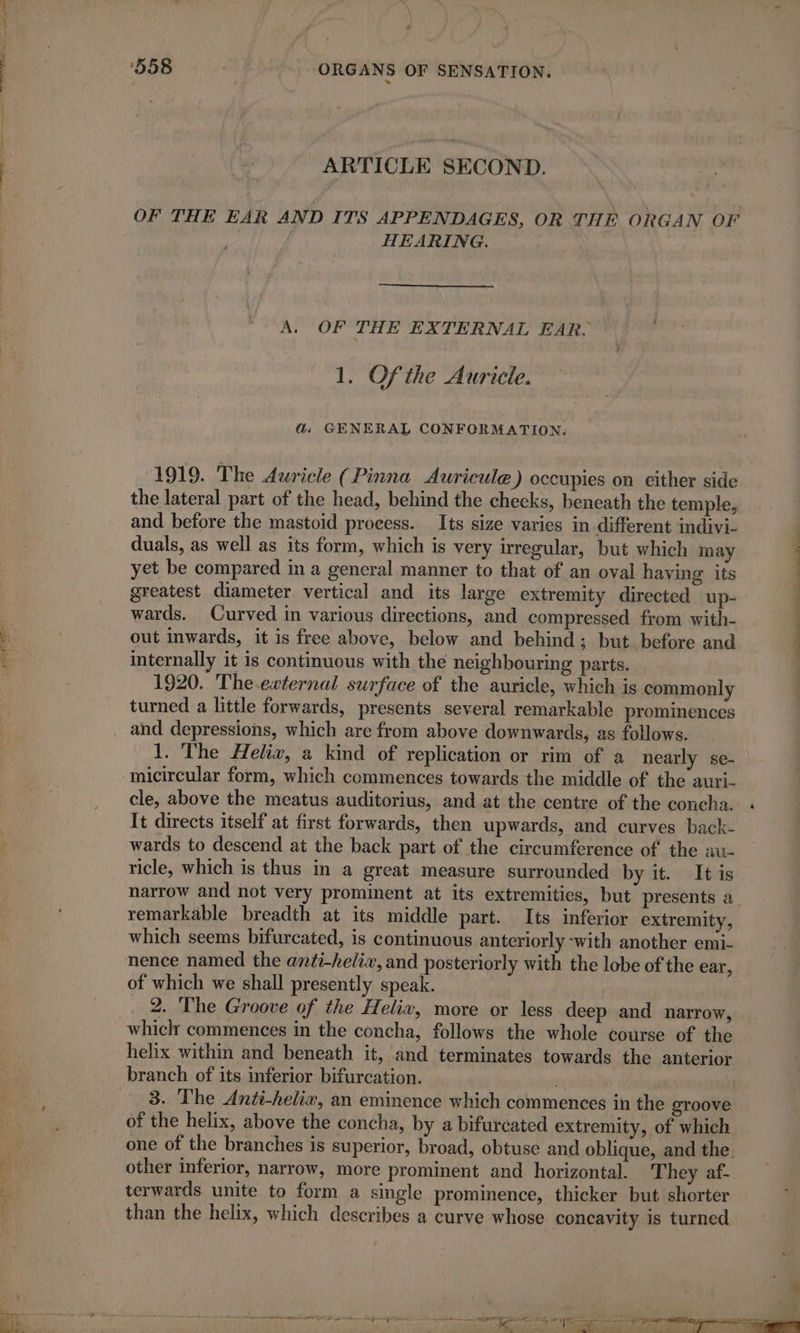 Ea Hi ARTICLE SECOND. OF THE EAR AND ITS APPENDAGES, OR THE ORGAN OF HEARING. A. OF THE EXTERNAL EAR. 1. Of the Auricle. 1919. The Auricle (Pinna Auricule) occupies on either side the lateral part of the head, behind the checks, beneath the temple, and before the mastoid process. Its size varies in different indivi- duals, as well as its form, which is very irregular, but which may wards. Curved in various directions, and compressed from with- out inwards, it is free above, below and behind; but before and internally it is continuous with the neighbouring parts. 1920. The external surface of the auricle, which is commonly turned a little forwards, presents several remarkable prominences and depressions, which are from above downwards, as follows. 1. The Helix, a kind of replication or rim of a nearly se- micircular form, which commences towards the middle of the auri- cle, above the meatus auditorius, and at the centre of the concha. It directs itself at first forwards, then upwards, and curves back- wards to descend at the back part of the circumference of the au- ricle, which is thus in a great measure surrounded by it. It is remarkable breadth at its middle part. Its inferior extremity, which seems bifurcated, is continuous anteriorly ‘with another emi- nence named the anti-helix, and posteriorly with the lobe of the ear, of which we shall presently speak. | helix within and beneath it, and terminates towards the anterior branch of its inferior bifurcation. ; 3. The Anti-helix, an eminence which commences in the groove of the helix, above the concha, by a bifurcated extremity, of which other inferior, narrow, more prominent and horizontal. They af- terwards unite to form a single prominence, thicker but shorter than the helix, which describes a curve whose concavity is turned