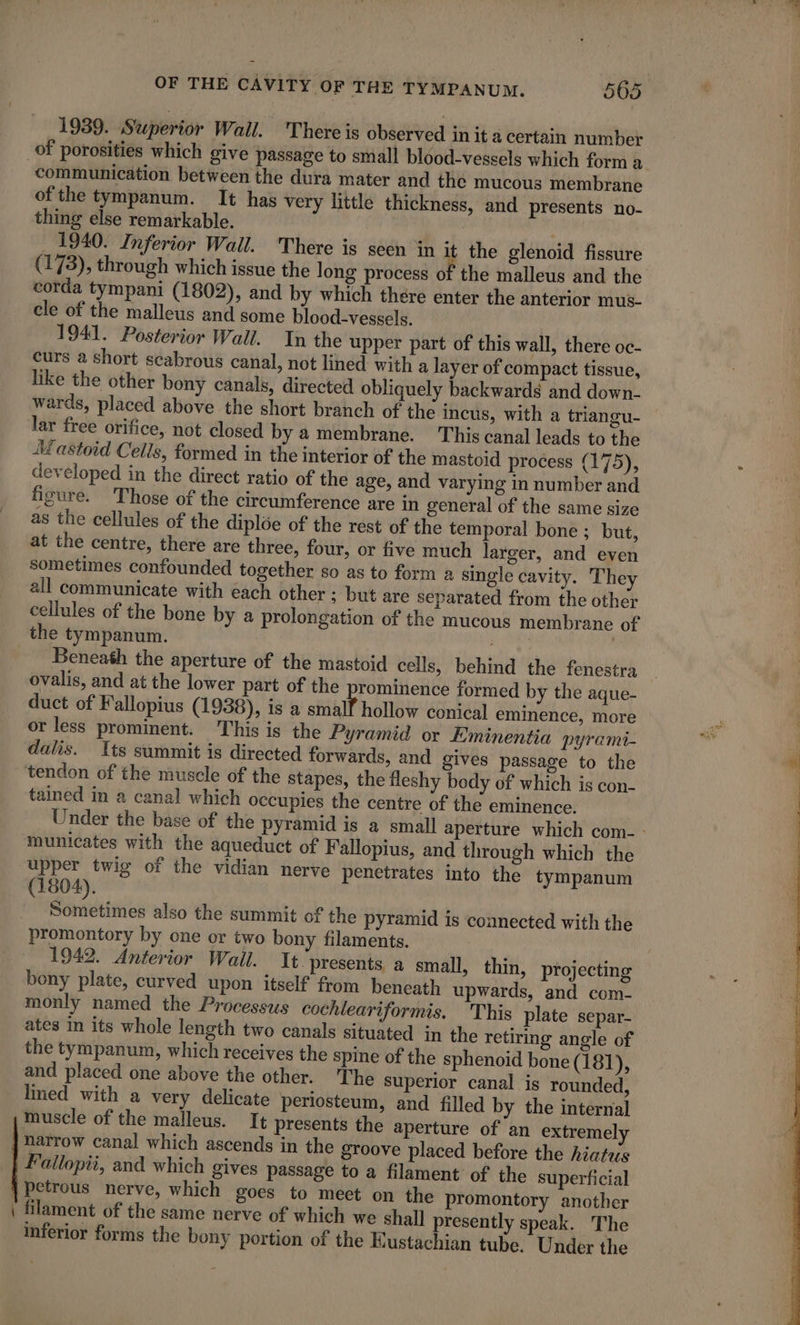 1939. Superior Wall. There is observed in it a certain number communication between the dura mater and the mucous membrane ofthe tympanum. It has very little thickness, and presents no- thing else remarkable. | _ 1940. Inferior Wall. There is seen in it the glenoid fissure (173), through which issue the long process of the malleus and the corda tympani (1802), and by which thére enter the anterior mus- cle of the malleus and some blood-vessels. 1941. Posterior Wall. Tn the upper part of this wall, there oc- curs a short scabrous canal, not lined with a layer of compact tissue, like the other bony canals, directed obliquely backwards and down- wards, placed above the short branch of the incus, with a triangu- lar free orifice, not closed by a membrane. This canal leads to the Mastoid Cells, formed in the interior of the mastoid process (175), developed in the direct ratio of the age, and varying in number and figure. Those of the circumference are in general of the same size as the cellules of the diploe of the rest of the temporal bone ; but, at the centre, there are three, four, or five much larger, and even sometimes confounded together so as to form a single cavity. They all communicate with éach other ; but are separated from the other cellules of the bone by a prolongation of the mucous membrane of Beneath the aperture of the mastoid cells, behind the fenestra ovalis, and at the lower part of the prominence formed by the aque- duct of Fallopius (1938), is a sai hollow conical eminence, more or less prominent. This is the Pyramid or Eminentia pyrami- dalis. Its summit is directed forwards, and gives passage to the tained in a canal which occupies the centre of the eminence. Under the base of the pyramid is a small aperture which com- - municates with the aqueduct of Fallopius, and through which the upper twig of the vidian nerve penetrates into the tympanum (1804). Sometimes also the summit of the pyramid is connected with the promontory by one or two bony filaments. 1942. Anterior Wall. It. presents a small, thin, projecting bony plate, curved upon itself from beneath upwards, and com- monly named the Processus cochleariformis. This plate separ- ates in its whole length two canals situated in the retiring angle of the tympanum, which receives the spine of the sphenoid bone (1 81), and placed one above the other. The superior canal is rounded, lined with a very delicate periosteum, and filled by the internal muscle of the malleus. It presents the aperture of an extremely —— Fallopii, and which gives passage to a filament of the superficial petrous nerve, which goes to meet on the promontory another filament of the same nerve of which we shall presently speak. The inferior forms the bony portion of the Eustachian tube. Under the