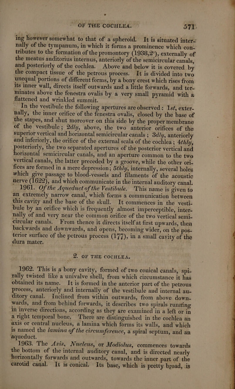 nally of the tympanum, in which it forms a prominence which con. tributes to the formation of the promontory (1938,2°), externally of the meatus auditorius internus, anteriorly of the semicircular canals, and posteriorly of the cochlea. Above and below it is covered by the compact tissue of the petrous process. It is divided into two unequal portions of different forms, by a bony crest which rises from its inner wall, directs itself outwards and a little forwards, and ter- minates above the fenestra ovalis by a very small pyramid with a flattened and wrinkled summit. In the vestibule the following apertures are observed: 154, exter- nally, the inner orifice of the fenestra ovalis, closed by the base of the stapes, and shut moreover on this side by the proper membrane of the vestibule; 2dly, above, the two anterior orifices of the superior vertical and horizontal semicircular canals ; 3dly, anteriorly and inferiorly, the orifice of the external scala of the cochlea ; Athly, posteriorly, the two separated apertures of the posterior vertical and horizontal semicircular canals, and an aperture common to the twe vertical canals, the latter preceded by a groove, while the other ori- fices are formed in a mere depression; 5zhly, internally, several holes which give passage to blood-vessels and filaments of the acoustic nerve (1622), and which communicate in the internal auditory canal. . 1961. Of the Aqueduct of the Vestibule. This name is given to an extremely narrow canal, which forms a communication between this cavity and the base of the skull. It commences in the vesti- bule by an orifice which is frequently almost imperceptible, inter- nally of and very near the common orifice of the two vertical semi- circular canals. From thence it directs itself at first upwards, then backwards and downwards, and opens, becoming wider, on the pos- terior surface of the petrous process (177), in a small cayity of the dura mater. 14 | 1962. This is a bony cavity, formed of two conical canals, spi- rally twisted like a univalve shell, from which circumstance it has obtained its name. It is formed in the anterior part of the petrous process, anteriorly and internally of the vestibule and internal au- ditory canal. Inclined from within outwards, from above down- wards, and from behind forwards, it describes two spirals runming in inverse directions, according as they are examined in a left or in a right temporal bone. There are distinguished in the cochlea an axis or central nucleus, a lamina which forms its walls, and which is named the lamina of the circumference, a spiral septum, and an ‘aqueduct. ’ + 1963. The Avis, Nucleus, or Modiolus, commences towards the bottom of the internal anditory canal, and is directed nearly horizontally forwards and outwards, towards the inner part of the carotid canal. It is conical. Its base, which is pretty broad, is RS LEE PE