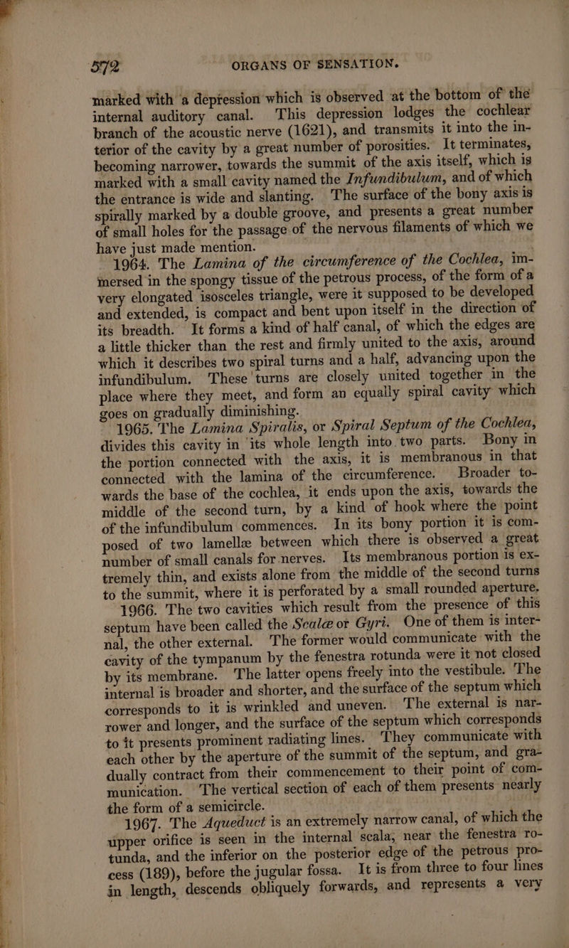 RS . LOTS — DER à M, D TC PT TUNIS nee come ee internal auditory canal. This depression lodges the cochlear branch of the acoustic nerve (1621), and transmits it into the in- terior of the cavity by a great number of porosities. It terminates, becoming narrower, towards the summit of the axis itself, which igs marked with a small cavity named the Infundibulum, and of which the entrance is wide and slanting. The surface of the bony axis 1s spirally marked by a double groove, and presents a great number of small holes for the passage of the nervous filaments of which we have just made mention. | 1964. The Lamina of the circumference of the Cochlea, im- mersed in the spongy tissue of the petrous process, of the form of a very elongated isosceles triangle, were it supposed to be developed and extended, is compact and bent upon itself in the direction of its breadth. It forms a kind of half canal, of which the edges are a little thicker than the rest and firmly united to the axis, around which it describes two spiral turns and a half, advancing upon the infundibulum. These turns are closely united together in the place where they meet, and form an equally spiral cavity which goes on gradually diminishing. 1965. The Lamina Spiralis, or Spiral Septum of the Cochlea, divides this cavity in ‘its whole length into. two parts. Bony in the portion connected with the axis, it is membranous in that connected with the lamina of the circumference. Broader to- wards the base of the cochlea, it ends upon the axis, towards the middle of the second turn, by a kind of hook where the point of the infundibulum commences. In its bony portion it is com- posed of two lamellæ between which there is observed a great number of small canals for nerves. Its membranous portion is ex- tremely thin, and exists alone from the middle of the second turns to the summit, where it is perforated by a small rounded aperture, 1966. The two cavities which result from the presence of this septum have been called the Scale or Gyri. One of them is inter- nal, the other external. The former would communicate with the cavity of the tympanum by the fenestra rotunda were it not closed by its membrane. The latter opens freely into the vestibule. The internal is broader and shorter, and the surface of the septum which corresponds to it is wrinkled and uneven. The external is nar- rower and longer, and the surface of the septum which corresponds to it presents prominent radiating lines. They communicate with each other by the aperture of the summit of the septum, and gra- dually contract from their commencement to their point of com- munication. ‘The vertical section of each of them presents nearly the form of a semicircle. | | 1967. The Aqueduct is an extremely narrow canal, of which the upper orifice is seen in the internal scala, near the fenestra ro- tunda, and the inferior on the posterior edge of the petrous pro- cess (189), before the jugular fossa. It is from three to four lines in length, descends obliquely forwards, and represents a very