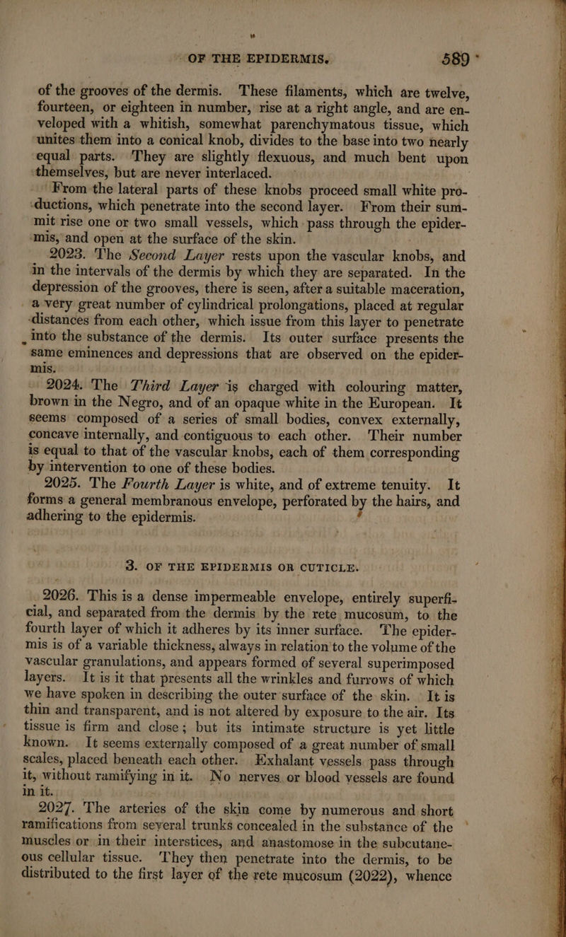 OF THE EPIDERMIS. 589 * of the grooves of the dermis. These filaments, which are twelve, fourteen, or eighteen in number, rise at a right angle, and are en- veloped with a whitish, somewhat parenchymatous tissue, which unites them into a conical knob, divides to the base into two nearly equal parts. They are slightly flexuous, and much bent upon themselves, but are never interlaced. From the lateral parts of these knobs proceed small white pro- -ductions, which penetrate into the second layer. From their sum- mit rise one or two small vessels, which. pass through the epider- ‘mis, and open at the surface of the skin. . 2023. The Second Layer rests upon the vascular knobs, and in the intervals of the dermis by which they are separated. In the depression of the grooves, there is seen, after a suitable maceration, _ avery great number of cylindrical prolongations, placed at regular ‘distances from each other, which issue from this layer to penetrate 3 . into the substance of the dermis. Its outer surface presents the same eminences and depressions that are observed on the epider- mis. 2024 The Third Layer is charged with colouring matter, brown in the Negro, and of an opaque white in the European. It seems composed of a series of small bodies, convex externally, concave internally, and contiguous to each other. Their number is equal to that of the vascular knobs, each of them corresponding by intervention to one of these bodies. 2025. The Fourth Layer is white, and of extreme tenuity. It forms a general membranous envelope, perforated by the hairs, and adhering to the epidermis. 3. OF THE EPIDERMIS OR CUTICLE. 2026. This is a dense impermeable envelope, entirely superfi- cial, and separated from the dermis by the rete mucosum, to the fourth layer of which it adheres by its inner surface. The epider- mis is of a variable thickness, always in relation to the volume of the vascular granulations, and appears formed ef several superimposed layers. It is it that presents all the wrinkles and furrows of which we have spoken in describing the outer surface of the skin. © It is thin and transparent, and is not altered by exposure to the air. Its tissue is firm and close; but its intimate structure is yet little known. It seems externally composed of a great number of small scales, placed beneath each other. Exhalant vessels. pass through it, without ramifying in it. No nerves. or blood vessels are found in it. | 2027. The arteries of the skin come by numerous and short ramifications from seyeral trunks concealed in the substance of the muscles or in their interstices, and anastomose in the subcutane- ous cellular tissue. ‘They then penetrate into the dermis, to be distributed to the first layer of the rete mucosum (2022), whence