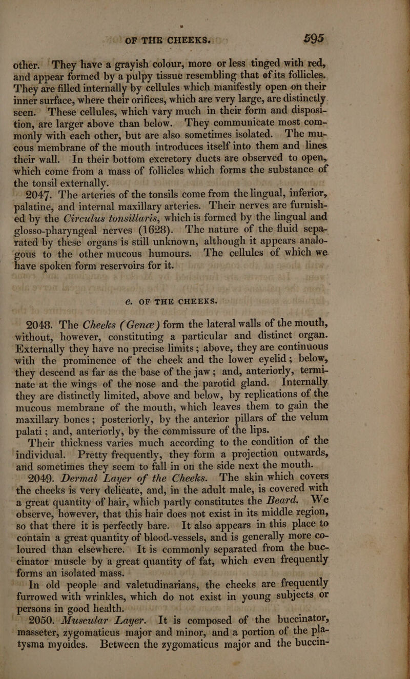 ” OF THE CHEEKS. &gt; 595 othér. ‘They have a grayish colour, more or less tinged with red, and appear formed by a pulpy tissue resembling that of its follicles. They are filled internally by cellules which manifestly open.on their inner surface, where their orifices, which are very large, are distinctly. seen. These cellules, which vary much in their form and disposi- tion, are larger above than below. They communicate most com- monly with each other, but are also sometimes isolated. The mu- cous membrane of the mouth introduces itself into them and lines which come from a mass of follicles which forms the substance of the tonsil externally. Te 2047. The arteries of the tonsils come from the lingual, inferior, palatine, and internal maxillary arteries. Their nerves are furnish- ed by the Circulus tonsillaris, whichis formed by the lingual and glosso-pharyngeal nerves (1628). The nature of the fluid sepa- rated by these organs is still unknown, although it appears analo- €. OF THE CHEEKS. 2048. The Cheeks (Gene) form the lateral walls of the mouth, without, however, constituting a particular and distinct organ. Externally they have no precise limits; above, they are continuous with the prominence of the cheek and the lower eyelid; below, they descend as far as the base of the jaw; and, anteriorly, termi- nate at the wings of the nose and the parotid gland. Internally they are distinctly limited, above and below, by replications of the mucous membrane of the mouth, which leaves them to gain the maxillary bones; posteriorly, by the anterior pillars of the velum palati ; and, anteriorly, by the commissure of the lips. Their thickness varies much according to the condition of the and sometimes they seem to fall in on the side next the mouth... 2049. Dermal Layer of the Cheeks. The skin which covers a great quantity of hair, which partly constitutes the Beard. We observe, however, that this hair does not exist in its middle region, so that there it is perfectly bare. It also appears in this place to contain a great quantity of blood-vessels, and is generally more co- loured than elsewhere. : It is commonly separated from the buc- forms an isolated mass. : ote furrowed with wrinkles, which do not exist in young subjects, or persons in good health. : | | + 2050. Muscular Layer. It is composed of the buccinator, tysma myoides. Between the zygomaticus major and the buccin-