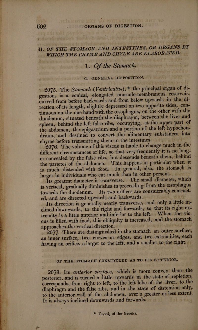 ree wee ET ERA rn 5-4 + 602 , = ORGANS OF DIGESTION. IL, OF THE STOMACH AND INTESTINES, OR ORGANS BY WHICH THE CHYME AND CHYLE ARE ELABORATED. 1. Of the Stomach. a. GENERAL DISPOSITION. 2075. The Stomach (Ventriculus), * the principal organ of di- gestion, is a conical, elongated musculo-membranous reservoir, curved from before backwards and from below upwards in the di- rection of its length, slightly depressed on two opposite sides, con- tinuous on the one hand with the cesophagus, on the other with the duodenum, situated beneath the diaphragm, between the liver and spleen, behind the left false ribs, occupying, at the upper part of the abdomen, the epigastrium and a portion of the left hypochon- drium, and destined to convert the alimentary substances into chyme before transmitting them to the intestines. OT 2076. The volume of this viscus is liable to change much in the different circumstances of life, so that very frequently it is no long- er concealed by the false ribs, but descends beneath them, behind the parietes of the abdomen. ‘This happens in particular when it is much distended with food. In general, also, the stomach: is larger in individuals who eat much than in other persons. : : Its greatest diameter is transverse. The small diameter, which is vertical, gradually diminishes in proceeding from the cesophagus towards the duodenum. Its two orifices are considerably contract- ed, and are directed upwards and backwards. 82 IG Its direction is generally nearly transverse, and only a little in- clined downwards, to the right and forwards, so that its right ex- tremity is a little anterior and inferior to the left. When the vis- . cus is filled with food, this obliquity is increased, and the stomach _ approaches the vertical direction. | ii Rte agile Are 2077. There are distinguished in the stomach an outer surface, an inner surface, two curves or edges, and two extremities, each having an orifice, a larger to the left, and a smaller to.the right. OF THE STOMACH CONSIDERED AS TO ITS EXTERIOR. 2078. Its anterior surface, which 1s more convex than» the posterior, and is turned a little upwards in the state of. repletion, corresponds, from right to left, to the left lobe of the liver,. to the — diaphragm and the false ribs, and in the state of distention only, to the anterior wall of the abdomen, over a greater or less extent. It is always inclined downwards and forwards. is