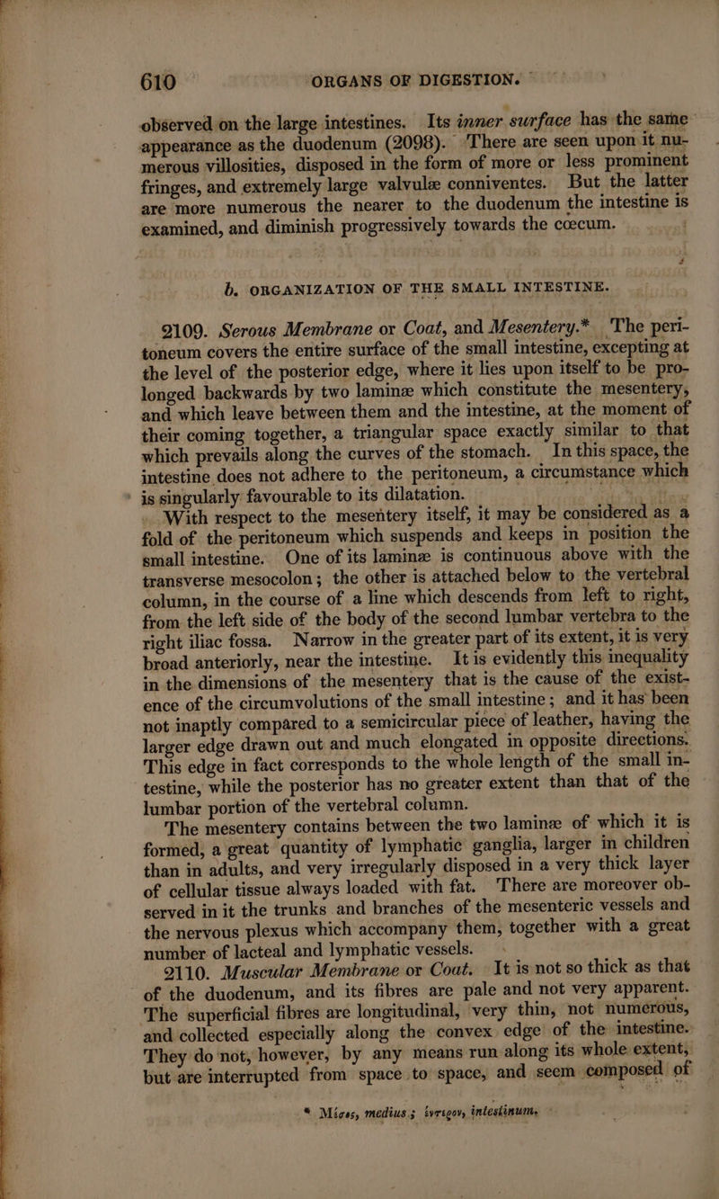 he ee yy observed on the large intestines. Its inner surface has the same appearance as the duodenum (2098). ‘There are seen upon it nu- merous villosities, disposed in the form of more or less prominent fringes, and extremely large valvulæ conniventes. But the latter are more numerous the nearer to the duodenum the intestine is examined, and diminish progressively towards the coecum. dd, toneum covers the entire surface of the small intestine, excepting at the level of the posterior edge, where it lies upon itself to be pro- longed backwards by two laminæ which constitute the mesentery, and which leave between them and the intestine, at the moment of their coming together, a triangular space exactly similar to that which prevails along the curves of the stomach. In this space, the intestine does not adhere to the peritoneum, a circumstance which With respect to the mesentery itself, it may be considered as a fold of the peritoneum which suspends and keeps in position the small intestine. One of its laminæ is continuous above with the transverse mesocolon; the other is attached below to the vertebral column, in the course of a line which descends from left to right, from the left side of the body of the second lumbar vertebra to the right iliac fossa. Narrow in the greater part of its extent, it is very broad anteriorly, near the intestine. It is evidently this inequality in the dimensions of the mesentery that is the cause of the exist- ence of the circumvolutions of the small intestine ; and it has been not inaptly compared to a semicircular piece of leather, having the larger edge drawn out and much elongated in opposite directions. This edge in fact corresponds to the whole length of the small in- testine, while the posterior has no greater extent than that of the lumbar portion of the vertebral column. The mesentery contains between the two laminæ of which it is formed, a great quantity of lymphatic ganglia, larger in children than in adults, and very irregularly disposed in a very thick layer of cellular tissue always loaded with fat. There are moreover ob- served in it the trunks and branches of the mesenteric vessels and the nervous plexus which accompany them, together with a great number of lacteal and lymphatic vessels. 2110. Muscular Membrane or Cout. It is not so thick as that The superficial fibres are longitudinal, very thin, not numerous, and collected especially along the convex edge of the intestine. They do not, however, by any means run along its whole: extent, but are interrupted from space to space, and seem composed of “ Mices, medius.; tvregov, intestinum,