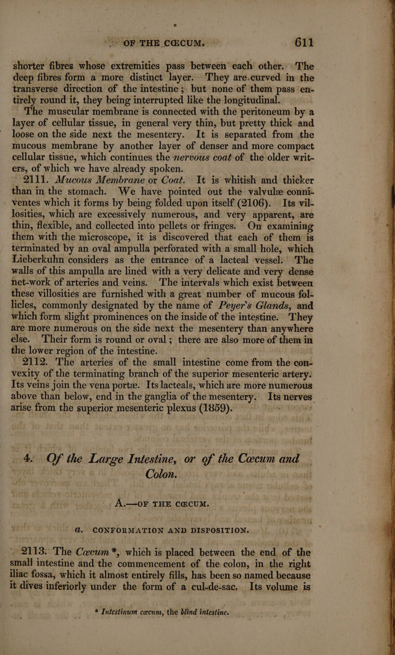shorter fibres whose extremities pass between each other. The deep fibres form a more distinct layer. They are.curved in the transverse direction of the intestine; but none of them pass en- tirely round it, they being interrupted like the longitudinal. _ The muscular membrane is connected with the peritoneum by a layer of cellular tissue, in general very thin, but pretty thick and loose on the side next the mesentery. It is separated from .the mucous membrane by another layer of denser and more compact cellular tissue, which continues the nervous coat of the older writ- ers, of which we have already spoken. * 2111. Mucous Membrane or Coat. It is whitish and thicker than in the stomach. We have pointed out the valvulæ conni- ventes which it forms by being folded upon itself (2106). Its vil- losities, which are excessively numerous, and very apparent, are thin, flexible, and collected into pellets or fringes. On examining them with the microscope, it is discovered that each of them is terminated by an oval ampulla perforated with a small hole, which Lieberkuhn considers as the entrance of a lacteal vessel.’ The walls of this ampulla are lined with a very delicate and very dense net-work of arteries and veins. The intervals which exist between these villosities are furnished with a great number of mucous fol- licles, commonly designated by the name of Peyer’s Glands, and which form slight prominences on the inside of the intestine. They are more numerous on the side next the mesentery than anywhere else. ‘Their form is round or oval; there are also more of them in . the lower region of the intestine. _ | * 2112. The arteries of the small intestine come from the con- vexity of the terminating branch of the superior mesenteric artery: Its veins join the vena portæ. Its lacteals, which are more numerous above than below, end in the ganglia of the mesentery. Its nerves. arise from the superior mesenteric plexus (1859). D FAX iis woetia Of the Large Intestine, or of the Caecum and THY a [Dov &amp; Colon. ss, sad las is A.—oF THE CŒCUM. PE 4. CONFORMATION AND DISPOSITION. 2113: The Caecum *, which is placed between the end of the smal] intestine and the commencement of the colon, in the right iliac fossa, which it almost entirely fills, has been so named because it dives inferiorly under the form of a cul-de-sac. Its volume is * Intestinum caecum, the blind intestine.