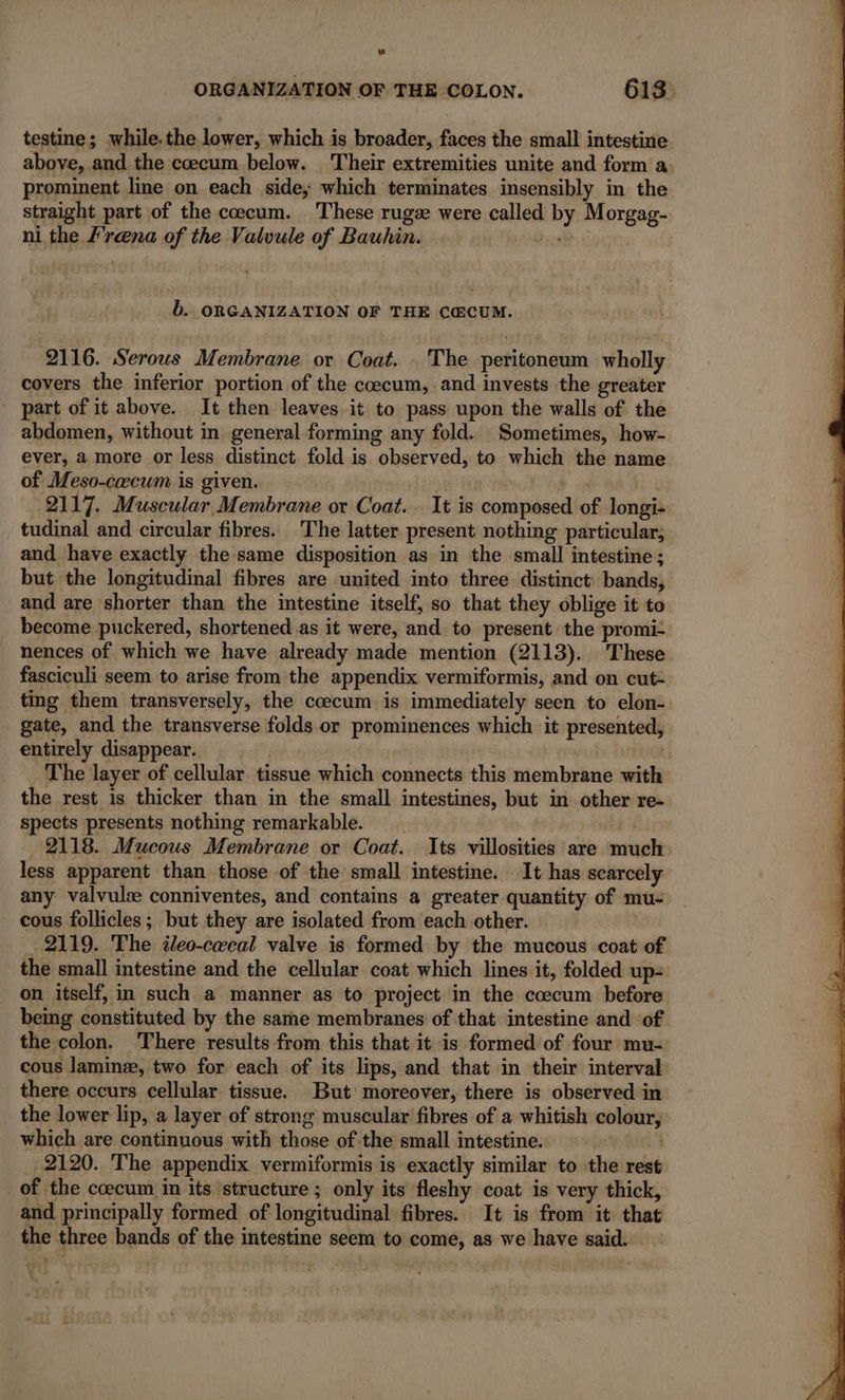 testine; while.the lower, which is broader, faces the small intestine above, and the cœcum below. Their extremities unite and form a: prominent line on each side; which terminates insensibly in the straight part of the coecum. These rugæ were called by Morgag- ni the Frena of the Valvule of Bauhin. Se | b. ORGANIZATION OF THE CŒCUM. 2116. Serous Membrane or Coat. The peritoneum wholly covers the inferior portion of the cecum, and invests the greater part of it above. It then leaves it to pass upon the walls of the abdomen, without in. general forming any fold. Sometimes, how- ever, a more or less distinct fold is observed, to which the name of Meso-cœcum is given. | , ; bh à 2117. Muscular Membrane or Coat... It is composed of longi: tudinal and circular fibres. The latter present nothing particular, and have exactly the same disposition as in the small intestine ; but the longitudinal fibres are united into three distinct: bands, and are shorter than the intestine itself, so that they oblige it to become puckered, shortened as it were, and to present the promi- nences of which we have already made mention (2113). These fasciculi seem to arise from the appendix vermiformis, and on cut- ting them transversely, the cœcum is immediately seen to elon-. gate, and the transverse folds or prominences which it presented, entirely disappear. | | | The layer of cellular tissue which connects this membrane with the rest is thicker than in the small intestines, but in other re- spects presents nothing remarkable. ab lie 2118. Mucous Membrane or Coat. Its villosities are much less apparent than those of the small intestine. It has scarcely any valvulæ conniventes, and contains a greater quantity of mu- cous follicles; but they are isolated from each other. - 2119. The teo-cecal valve is formed by the mucous coat of the small intestine and the cellular coat which lines it, folded up- on itself, in such a manner as to project in the cœcum before being constituted by the same membranes of that intestine and of the colon. There results from this that it is formed of four mu- cous laminæ, two for each of its lips, and that in their interval there occurs cellular tissue. But moreover, there is observed in the lower lip, a layer of strong muscular fibres of a whitish colour, which are continuous with those of the small intestine. ewer} 2120. The appendix vermiformis is exactly similar to the rest of the cœcum in its structure ; only its fleshy coat is very thick, and principally formed of longitudinal fibres. It is from it that the three bands of the intestine seem to come, as we have said.