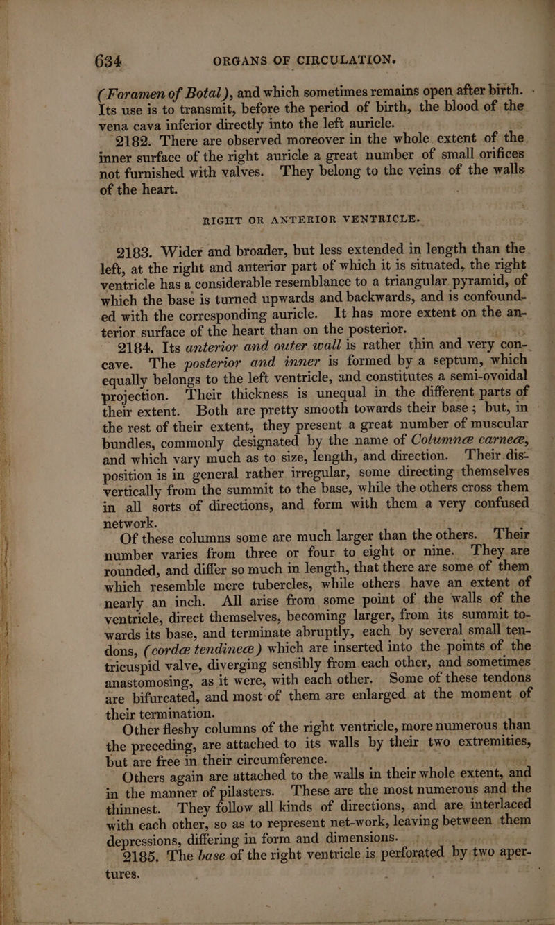 (Foramen of Botal), and which sometimes remains open after birth. - Its use is to transmit, before the period of birth, the blood of the vena cava inferior directly into the left auricle. p ‘2182. There are observed moreover in the whole extent of the. inner surface of the right auricle a great number of small orifices not furnished with valves. They belong to the veins of the walls of the heart. | RIGHT OR ANTERIOR VENTRICLE. 2183. Wider and broader, but less extended in length than the left, at the right and anterior part of which it is situated, the right ventricle has a considerable resemblance to a triangular pyramid, of which the base is turned upwards and backwards, and is confound- ed with the corresponding auricle. It has more extent. on the an- terior surface of the heart than on the posterior. ait NS 9184, Its anterior and outer wall is rather thin and very con- cave. The posterior and inner is formed by a septum, which equally belongs to the left ventricle, and constitutes a semi-ovoidal i projection. Their thickness is unequal in the different parts of their extent. Both are pretty smooth towards their base; but, m — the rest of their extent, they present a great number of muscular bundles, commonly designated by the name of Columne carneæ, *) and which vary much as to size, length, and direction. Their dis- position is in general rather irregular, some directing themselves vertically from the summit to the base, while the others cross them in all sorts of directions, and form with them a very confused i network. | s ) Of these columns some are much larger than the others. Their number varies from three or four to eight or nine. They. are tp rounded, and differ so much in length, that there are some of them 4 which resemble mere tubercles, while others have an extent of nearly an inch. All arise from some point of the walls of the ventricle, direct themselves, becoming larger, from its summit to- wards its base, and terminate abruptly, each by several small ten- dons, (corde tendineæ) which are inserted into the points of the tricuspid valve, diverging sensibly from each other, and sometimes — anastomosing, as it were, with each other. Some of these tendons are bifurcated, and most of them are enlarged at the moment of their termination. re Other fleshy columns of the right ventricle, more numerous than the preceding, are attached to its walls by their two extremities, but are free in their circumference. | vu are Others again are attached to the walls in their whole extent, and in the manner of pilasters. These are the most numerous and the thinnest. They follow all kinds of directions, and are interlaced with each other, so as to represent net-work, leaving between them depressions, differing in form and dimensions. § Ya 2185. The base of the right ventricle is perforated by two aper- tures. ; ‘ ees Pat Or RE Ene jdt ol —— VE TES ns ee ey eee