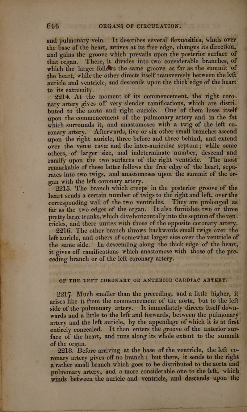 and pulmonary vein. It describes several flexuosities, winds over. the base of the heart, arrives at its free edge, changes its direction, and gains the groove which prevails upon the posterior surface of that organ. There, it divides into two considerable branches, of which the larger folléWs the same groove as far as the summit of the heart, while the other directs itself transversely between the left auricle and ventricle, and descends upon the thick edge of the heart to its extremity. | 9214. At the moment of its commencement, the right coro- nary artery givés off very slender ramifications, which are distri- buted to the aorta and right auricle. One of them loses itself upon the commencement of the pulmonary artery and im the fat which surrounds it, and anastomoses with a twig of the left co- ronary artery. Afterwards, five or six other small branches ascend upon the right auricle, three before and three behind, and extend over the venæ cavæ and the inter-auricular septum; while some others, of larger size, and indeterminate number, descend and ramify upon the two surfaces of the right ventricle. The most remarkable of these latter follows the free edge of the heart, sepa- rates into two twigs, and anastomoses upon the summit of the or- _ gan with the left coronary artery. NE 9215. The branch which creeps in the posterior groove of the heart sends a certain number of twigs to the right and left, over the corresponding wall of the two ventricles. They are prolonged as far as the two edges of the organ. It also furnishes two or three pretty large trunks, which divehorizontally into the septum of the ven- tricles, and there unites with those of the opposite coronary artery. 2216. The other branch throws backwards small twigs over the left auricle, and others of somewhat larger size over the ventricle of the same side. In descending along the thick edge of the heart, it gives off ramifications which anastomose with those of the pre- ceding branch or of the left coronary artery. Le OF THE LEFT CORONARY OR ANTERIOR CARDIAC ARTERY: 2217. Much smaller than the preceding, and a little higher, it arises like it from the commencement of the aorta, but to the left side of the pulmonary artery. It immediately directs itself down- wards and a little to the left and forwards, between the pulmonary artery and the left auricle, by the appendage of which it is at first. entirely concealed. It then enters the groove of the anterior sur- face of the heart, and runs along its whole extent to the summit of the organ. | 2218. Before arriving at the base of the ventricle, the left co- ronary artery gives off no branch ; but there, it sends to the right a rather small branch which goes to be distributed to the aorta and pulmonary artery, and a more considerable one to the left, which winds between the auricle and ventricle, and descends upon the &lt; norme tél ne ee mn net ent ppp ee — wm PEN EEE es be ~ et cpt le OEE 7 t PE AT PL VOTE + D een iene ~ ~ t