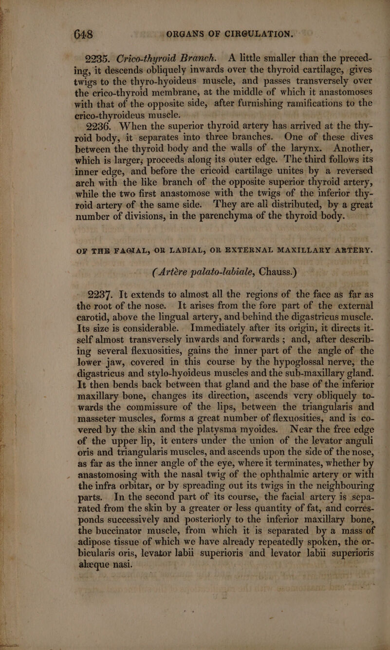 2235. Crico-thyroid Branch. A little smaller than the preced- ing, it descends obliquely inwards over the thyroid cartilage, gives twigs to the thyro-hyoideus muscle, and passes transversely over the crico-thyroid membrane, at the middle of which it anastomoses with that of the opposite side, after furnishing ramifications to the erico-thyroideus muscle. : 2236. When the superior thyroid artery has arrived at the thy- — roid body, it separates into three branches. One of these dives between the thyroid body and the walls of the larynx. Another, which is larger; proceeds along its outer edge. The third follows its inner edge, and before the cricoid cartilage unites by a reversed arch with the like branch of the opposite superior thyroid artery, while the two first anastomose with the twigs of the inferior thy- roid artery of the same side. ‘They are ali distributed, by a great number of divisions, in the parenchyma of the thyroid body... : OF THE FAGIAL, OR LABIAL, OR EXTERNAL MAXILLARY ARTERY. (Artère palato-labiale, Chauss.) 2237. It extends to almost all the regions of the face as far as the root of the nose. It arises from the fore part of the external carotid, above the lingual artery, and behind the digastricus muscle. Its size is considerable. Immediately after its origin, it directs it- self almost transversely inwards and forwards ; and, after describ- ing several flexuosities, gains the inner part of the angle of the lower jaw, covered in this course by the hypoglossal nerve, the digastricus and stylo-hyoideus muscles and the sub-maxillary gland. . It then bends back between that gland and the base of the inferior maxillary bone, changes its direction, ascends very obliquely to- wards the commissure of the lips, between the triangularis and masseter muscles, forms a great number of flexuosities, and is co- vered by the skin and the platysma myoides. Near the free edge of the upper lip, it enters under the union of the levator anguli — oris and triangularis muscles, and ascends upon the side of the nose, as far as the inner angle of the eye, where it terminates, whether by anastomosing with the nasal twig of the ophthalmic artery or with the infra orbitar, or by spreading out its twigs in the neighbouring parts. In the second part of its course, the facial artery is sepa- rated from the skin by a greater or less quantity of fat, and corres- ponds successively and posteriorly to the inferior maxillary bone, the buccinator muscle, from which it is separated by a mass’ of adipose tissue of which we have already repeatedly spoken, the or- bicularis oris, levator labii superioris and levator labii superioris alæque nasi. |
