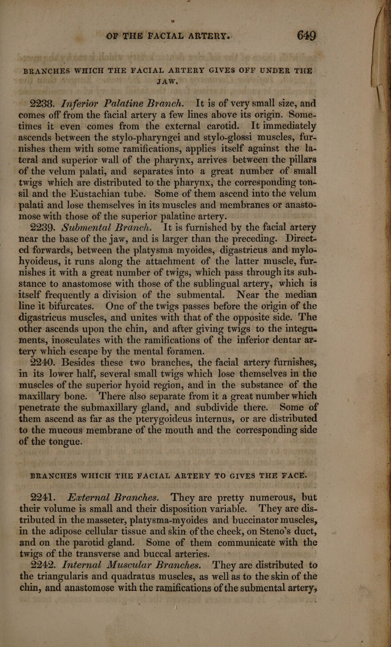 we OF THE FACIAL ARTERY. 649 BRANCHES WHICH THE FACIAL ARTERY GIVES OFF UNDER THE JAW. 9938. Inferior Palatine Branch. It is of very small size, and comes off from the facial artery a few lines above its origin. Some- times it even comes from the external carotid. It immediately ascends between the stylo-pharyngei and stylo-glossi muscles, fur- nishes them with some ramifications, applies itself against the la- teral and superior wall of the pharynx, arrives between the pillars of the velum palati, and separates into a great number of small twigs which are distributed to the pharynx, the corresponding ton- sil and the Eustachian tube. Some of them ascend into the velum palati and lose themselves in its muscles and membranes or anasto- mose with those of the superior palatine artery. 2239. Submental Branch. It is furnished by the facial artery near the base of the jaw, and is larger than the preceding. Direct- ed forwards, between the platysma myoides, digastricus and mylo- hyoideus, it runs along the attachment of the latter muscle, fur- nishes it with a great number of twigs, which pass through its sub- stance to anastomose with those of the sublingual artery, which is itself frequently a division of the submental. Near the median line it bifurcates. One of the twigs passes before the origin of the digastricus muscles, and unites with that of the opposite side. The other ascends upon the chin, and after giving twigs to the integus ments, inosculates with the ramifications of the inferior dentar ar- tery which escape by the mental foramen. 2240. Besides these two branches, the facial artery furnishes, in its lower half, several small twigs which lose themselves in the muscles of the superior hyoid region, and in the substance of the maxillary bone. There also separate from it a great number which penetrate the submaxillary gland, and subdivide there. Some of them ascend as far as the pterygoideus internus, or are distributed to the mucous membrane of the mouth and the corresponding side of yo net BRANCHES WHICH THE FACIAL ARTERY TO GIVES THE FACE. 2241. External Branches. They are pretty numerous, sbiit their volume is small and their disposition variable. They are dis- tributed in the masseter, platysma-myoides and buccinator muscles, in the adipose cellular tissue and skin of the cheek, on Steno’s duct, and on the parotid gland. Some of them communicate with the twigs of the transverse and buccal arteries. 2242. Internal Muscular Branches. They are distributed to the triangularis and quadratus muscles, as well as to the skin of the chin, and anastomose with the ramifications of the submental artery,