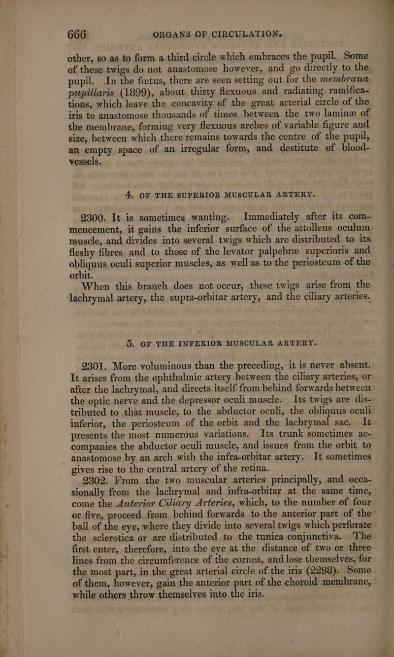 other, so as to form a third circle which embraces the pupil. Some of these twigs do not anastomose however, and go directly to the pupil. .In the fœtus, there are seen setting out for the membrana pupillaris (1899), about thirty flexuous and radiatmg ramifica- tions, which leave the concavity of the great arterial circle of the iris to anastomose thousands of times between the two laminæ of the membrane, forming very flexuous arches of variable figure and size, between which there remains towards the centre of the pupil, an empty space of an irregular form, and destitute of blood- vessels. 4. OF THE SUPERIOR MUSCULAR ARTERY. 9300. It is sometimes wanting. Immediately after its com- mencement, it gains the inferior surface of the attollens oculum muscle, and divides into several twigs which are distributed to its. fleshy fibres. and to those of the levator palpebræ superioris and obliquus oculi superior muscles, as well as to the periosteum of the orbit. When this branch does not occur, these twigs arise from the 5. OF THE INFERIOR MUSCULAR ARTERY. 2301. More voluminous than the preceding, it is never absent. It arises from the ophthalmic artery between the ciliary arteries, or after the lachrymal, and directs itself from behind forwards between the optic nerve and the depressor oculi muscle. Its twigs are dis- tributed to that muscle, to the abductor oculi, the obliquus oculi inferior, the periosteum of the orbit and the lachrymal sac. It presents the most numerous variations. Its trunk sometimes ac- companies the abductor oculi muscle, and issues from the orbit to anastomose by an arch with the infra-orbitar artery. It sometimes gives rise to the central artery of the retina. | 2302. From the two muscular arteries principally, and occa- sionally from the lachrymal and infra-orbitar at the same time, come the Anterior Ciliary Arteries, which, to the number of four or five, proceed from behind forwards to the anterior part of the ball of the eye, where they divide into several twigs which perforate the sclerotica or are distributed to the tunica conjunctiva. ‘The first enter, therefore, into the eye at.the distance of two or three the most part, in the great arterial circle of the iris (2298). Some of them, however, gain the anterior part of the choroid membrane,