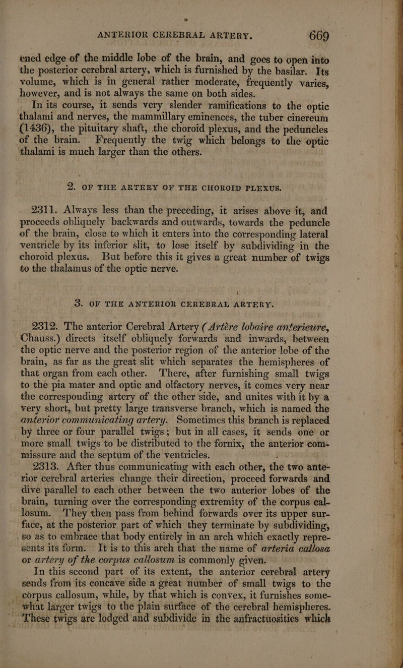 ANTERIOR CEREBRAL ARTERY. 669 ened edge of the middle lobe of the brain, and goes to open into the posterior cerebral artery, which is furnished by the basilar. Its volume, which is in general rather moderate, frequently varies, however, and is not always the same on both sides. In its course, it sends very slender ramifications to the optic thalami and nerves, the mammillary eminences, the tuber cinereum (1436), the pituitary shaft, the choroid plexus, and the peduncles of the brain. Frequently the twig which belongs to the optic thalami is much larger than the others. 2. OF THE ARTERY OF THE CHOROID PLEXUS. 2311. Always less than the preceding, it arises above it, and proceeds obliquely ‘backwards and outwards, towards the peduncle of the bram, close to which it enters into the corresponding lateral ventricle by its inferior slit, to lose itself by subdividing in the choroid plexus. But before this it gives a great number of twigs to the thalamus of the optic nerve. À 3. OF THE ANTERIOR CEREBRAL ARTERY. 2312. The anterior Cerebral Artery ( Aréère lobaire anferieure, Chauss.) directs itself obliquely forwards and inwards, between the optic nerve and the posterior region of the anterior lobe of the brain, as far as the great slit which separates the hemispheres of that organ from each other. There, after furnishing small twigs to the pia mater and optic and olfactory nerves, it comes very near the corresponding artery of the other side, and unites with it by a very short, but pretty large transverse branch, which is named the anterior communicating artery. Sometimes this branch is replaced by three or four parallel twigs; but in all cases, it sends one or more small twigs to be distributed to the fornix, the anterior com- missure and the septum of the ventricles. ALES + 2313. After thus communicating with each other, the two ante- rior cerebral arteries change their direction, proceed forwards and dive parallel to each other between the two anterior lobes of the brain, turning over the corresponding extremity of the corpus cal- losum. ‘They then pass from behind forwards over its upper sur- face, at the posterior part of which they terminate by subdividing, .80 as to embrace that body entirely in an arch which exactly repre- sents its form. It is to this arch that the name of arteria callosa or artery of the corpus callosum is commonly given. | In this second part of its extent, the anterior cerebral artery sends from its concave side a great number of small twigs to the corpus callosum, while, by that which is convex, it furnishes some- what larger twigs to the plain surface of the cerebral hemispheres. These twigs are lodged and subdivide in the anfractiosities which