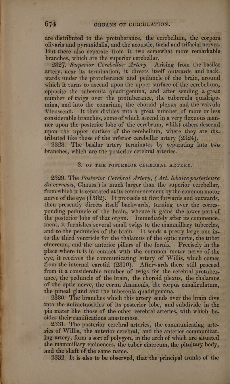 are distributed to the protuberance, the cerebellum, the corpora olivaria and pyramidalia, and the acoustic, facial and trifacial nerves. But there also separate from it two somewhat more remarkable branches, which are the superior cerebellar. 2327. Superior Cerebellar Artery. Arising from the basilar. artery, near its termination, it directs itself outwards and back- wards under the protuberance and peduncle of the brain, around which it turns to ascend upon the upper surface of the cerebellum, opposite the tubercula quadrigemina, and after sending a great number of twigs over the protuberance, the tubercula quadrige- mina, and into the conarium, the choroïd plexus and the valvula Vieusseniüi. It then divides into a great number of more or less considerable branches, some of which ascend in a very flexuous man- ner upon the posterior lobe of the cerebrum, whilst others descend upon the upper surface of the cerebellum, where they are dis- tributed like those of the inferior cerebellar artery (2324). 2328. The basilar artery terminates by separating into two branches, which are the posterior cerebral arteries. 3. OF THE POSTERIOR CEREBRAL ARTERY. 2329. The Posterior Cerebral Artery, (Art. lobaire posterieure du cerveau, Chauss.) is much larger than the superior cerebellar, from which it is separated at its commencement by the common motor nerve of the eye (1562). It proceeds at first forwards and outwards, then presently directs itself backwards, turning over the corres- ponding peduncle of the brain, whence it gains the lower part of the posterior lobe of that organ. Immediately after its commence- ment, it furnishes several small twigs to the mammillary tubercles, and to the peduncles of the brain. Tt sends a pretty large one in- to the third ventricle for the thalamus of the optic nerve, the tuber cinereum, and the anterior pillars of the fornix. Precisely in the place where it is in contact with the common motor nerve of the eye, it receives the communicating artery of Willis, which comes from the internal carotid (2310). Afterwards there still proceed from it a considerable number of twigs for the cerebral protuber- ance, the peduncle of the brain, the choroid plexus, the thalamus of the optic nerve, the cornu Ammonis, the corpus canaliculatum, the pineal gland and the tubercula quadrigemina. 2330. The branches which this artery sends over the brain dive into the anfractuosities of its posterior lobe, and subdivide in the pia mater like those of the other cerebral arteries, with which be- sides their ramifications anastomose. _ _. 2331. The posterior cerebral arteries, the communicating arte- _ ¥les of Willis, the anterior cerebral, and the anterior communicat- ing artery, form a sort of polygon, in the arch of which are situated. the mammillary eminences, the tuber cinereum, the pituitary body, and the shaft of the same name. 2332. It is also to be observed, that’the principal trunks of the