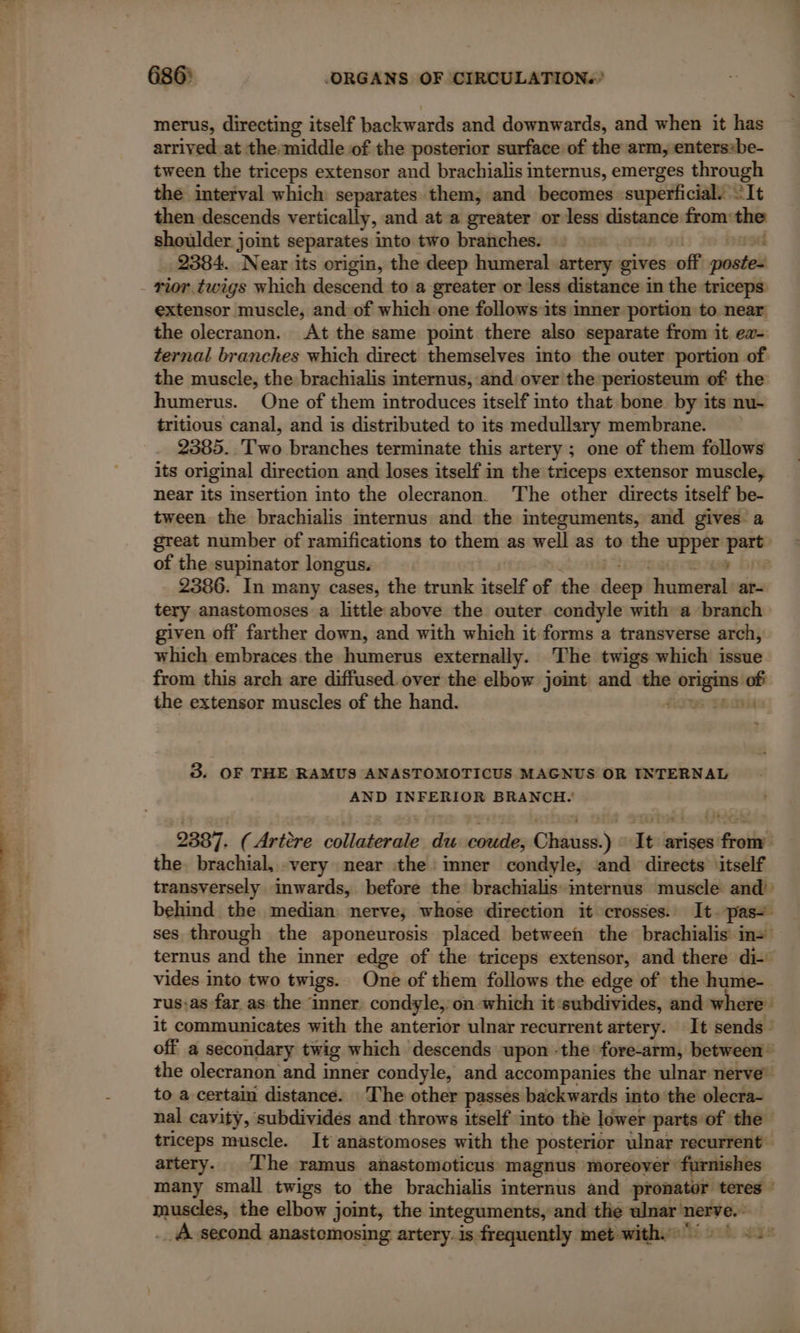 merus, directing itself backwards and downwards, and when it has arrived. at the. middie of the posterior surface of the arm, enters:be- tween the triceps extensor and brachialis internus, emerges through the interval which separates them, and becomes superficial Sit then descends vertically, and at a greater or less distance from: the shoulder joint separates into two branches. 2384. Near its origin, the deep humeral. artery gives off poste. - rior twigs which descend to a greater or less distance in the triceps extensor muscle, and of which one follows its inner portion to near the olecranon. At the same point there also separate from it ew- ternal branches which direct themselves into the outer portion of the muscle, the brachialis internus, and over the periosteum of the humerus. One of them introduces itself into that bone by its nu- tritious canal, and is distributed to its medullary membrane. 2385. Two branches terminate this artery ; one of them follows its original direction and loses itself in the triceps extensor muscle, near its insertion into the olecranon. The other directs itself be- tween the brachialis internus and the integuments, and gives a great number of ramifications to them as well as to the upper sani of the supinator longus. 2386. In many cases, the trunk itself of the deep Arumeral ar- tery anastomoses a little above the outer. condyle with a branch given off farther down, and with which it forms a transverse arch, which embraces the humerus externally. The twigs which issue from this arch are diffused. over the elbow joint and né an off the extensor muscles of the hand. UT 3. OF THE RAMUS ANASTOMOTICUS MAGNUS OR INTERNAL AND INFERIOR BRANCH. 2387. (Artère collaterale du coude, Chauss.) It arises sifrolisi the. brachial, very near the : inner condyle, and directs itself transversely inwards, before the brachialis internus muscle and! behind the median. nerve, whose direction it crosses. It. pas+ ses through the aponeurosis placed between the brachialis in+ ternus aad the inner edge of the triceps extensor, and there di vides into two twigs. One of them follows the edge of the hume- rus-as far as the inner. condyle, on which it subdivides, and where it communicates with the anterior ulnar recurrent artery. It sends : off a secondary twig which descends upon the fore-arm, between” the olecranon and inner condyle, and accompanies the ulnar nerve” to a certain distance. ‘The other passes backwards into the olecra- nal cavity, subdividés and throws itself into the lower parts of the triceps muscle. It anastomoses with the posterior ulnar recurrent — artery. The ramus anastomoticus magnus moreover furnishes many small twigs to the brachialis internus and pronator teres © muscles, the elbow joint, the integuments, and the ulnar’ nerve. À second anastomosing artery. is frequently met with.“ $58