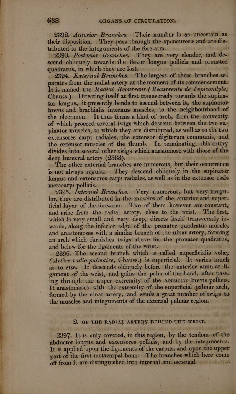 2392. Anterior Branches. Their number is as uncertain as. their disposition. They pass through the aponeurosis and ‘are dis- tributed to the integuments of the fore-arm. 6 egon ‘2898. Posterior Branches. They: are very slender, and de- scend obliquely. towards: the flexor longus pollicis and:pronator quadratus, in which they are lost. path dr hy ak » 2394. External Branches. : The largest of these. branches se+ parates from the radial artery at the moment of its commencement: It is named the Radial Recurrent ( Récurrente de Vepicondyle; Chauss.) Directing itself at first transversely towards the supina- tor longus, it presently bends to ascend between it, the supmator brevis and brachialis internus muscles, to the neighbourhood :of the olecranon. It thus forms a kind of arch, from the convexity of which proceed several twigs which descend between the two su- pinator muscles, to which they are distributed, as well as to the two extensores carpi radiales, the extensor digitorum communis, and the extensor muscles of the thumb. In terminating, this artery divides into several other twigs which anastomose with those of the deep humeral artery (2383). | ruée rires The other external branches are numerous, but their occurrence is not always regular. They descend obliquely in the supinator longus and extensores carpi radiales, as well as in the extensor ossis metacarpi pollicis. | chit oe 2395. Internal Branches. Very numerous, but. very irregu- lar, they are distributed in the. muscles of the, anterior and super- ficial layer of the fore-arm. Two of them however are constant; — and arise from the radial artery, close to the wrist. . The first, which is very small and very deep, directs itself transversely in- wards, along the inferior edge of the pronator quadratus muscle, and anastomoses with a similar branch of the ulnar artery, forming an arch which furnishes twigs above for the pronator quadratus, and below for the ligaments of the wrist. i ai ails À 2896. The second branch which is called superficialis vole, (Aritère radio-palmaire, Chauss.) is superficial. It varies: much as to size. It descends obliquely before the anterior annular i. gament of the wrist, and gains the palm of the hand, after pass- ing through the upper extremity of the abductor brevis pollicis. It anastomoses with the extremity of the superficial palmar arch, formed by the ulnar artery, and sends a great number of twigs) to the muscles and integuments of the external palmar region. wat by Has | 2. OF THE RADIAL ARTERY BEHIND THE WRIST. 2397. It is only covered, in this region, by the tendons. of the abductor longus. and extensores pollicis, and by the integuments. It is applied upon the ligaments of the carpus; and upon the upper part of the first metacarpal bone. The branches which here come off from it are distinguished into internal and exteynal. + +: