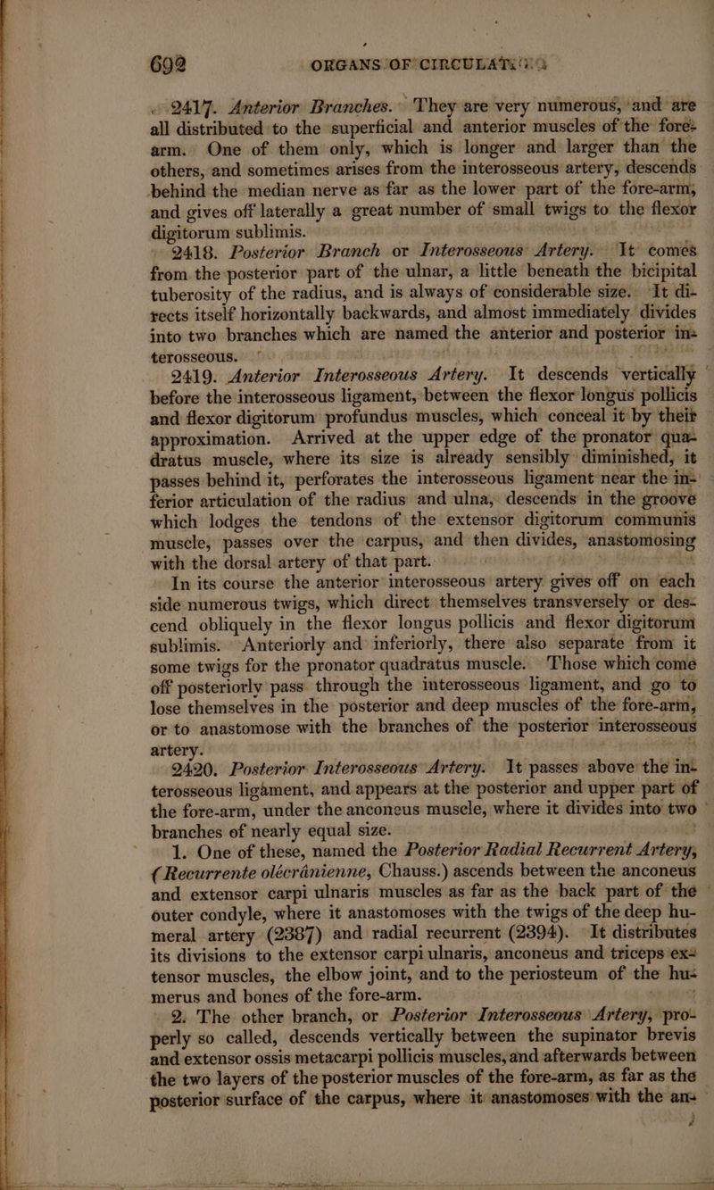 rat A IR dr dat ne essai hé mn sd Pe * . 2417. Anterior Branches. They are very numerous, and are all distributed to the superficial and anterior muscles of the fore: arm. One of them only, which is longer and larger than the others, and sometimes arises from the interosseous artery, descends: and gives off laterally a great number of small twigs to the flexor digitorum sublimis. | | DE Leu li LÉMEERI 2418. Posterior Branch or Interosseous Artery. It comes from the posterior part of the ulnar, a little beneath the bicipital tuberosity of the radius, and is always of considerable size. ‘It di- rects itself horizontally backwards, and almost immediately. divides into two branches which are named the anterior and posterior ins e terosseous. aa EL FE | 2419. Anterior Interosseous Artery. It descends vertically © before the interosseous ligament, between the flexor longus pollicis and flexor digitorum profundus muscles, which conceal it by their — approximation. Arrived at the upper edge of the pronator qua- dratus muscle, where its size is already sensibly diminished, it — passes behind it, perforates the interosseous ligament near the in- ferior articulation of the radius and ulna, descends in the groove which lodges the tendons of the extensor digitorum communis muscle, passes over the ‘carpus, and then divides, anastomosing with the dorsal artery of that part. : DE, L: © In its course the anterior interosseous artery gives off on each side numerous twigs, which direct themselves transversely or des- cend obliquely in the flexor longus pollicis and flexor digitorum sublimis. ‘Anteriorly and inferiorly, there also separate from it some twigs for the pronator quadratus muscle. Those which come off posteriorly pass through the interosseous ligament, and go to lose themselves in the posterior and deep muscles of the fore-arm, or to anastomose with the branches of the posterior interosseous artery. , 19 2420. Posterior Interosseous Artery. It passes above the in- terosseous ligament, and appears at the posterior and upper part of the fore-arm, under the anconeus muscle, where it divides into two ~ branches of nearly equal size. | NE 1. One of these, named the Posterior Radial Recurrent Artery, (Recurrente olécranienne, Chauss.) ascends between the anconeus and extensor carpi ulnaris muscles as far as the back part of thé : outer condyle, where it anastomoses with the twigs of the deep hu- meral artery (2387) and radial recurrent (2394). It distributes its divisions to the extensor carpi ulnaris, anconeus and triceps ex tensor muscles, the elbow joint, and to the periosteum of the hu: merus and bones of the fore-arm. : TRE 2, The other branch, or Posterior Interosseous Artery, pro- perly so called, descends vertically between the supinator brevis and extensor ossis metacarpi pollicis muscles, and afterwards between posterior surface of the carpus, where it anastomoses’ with the ans — À