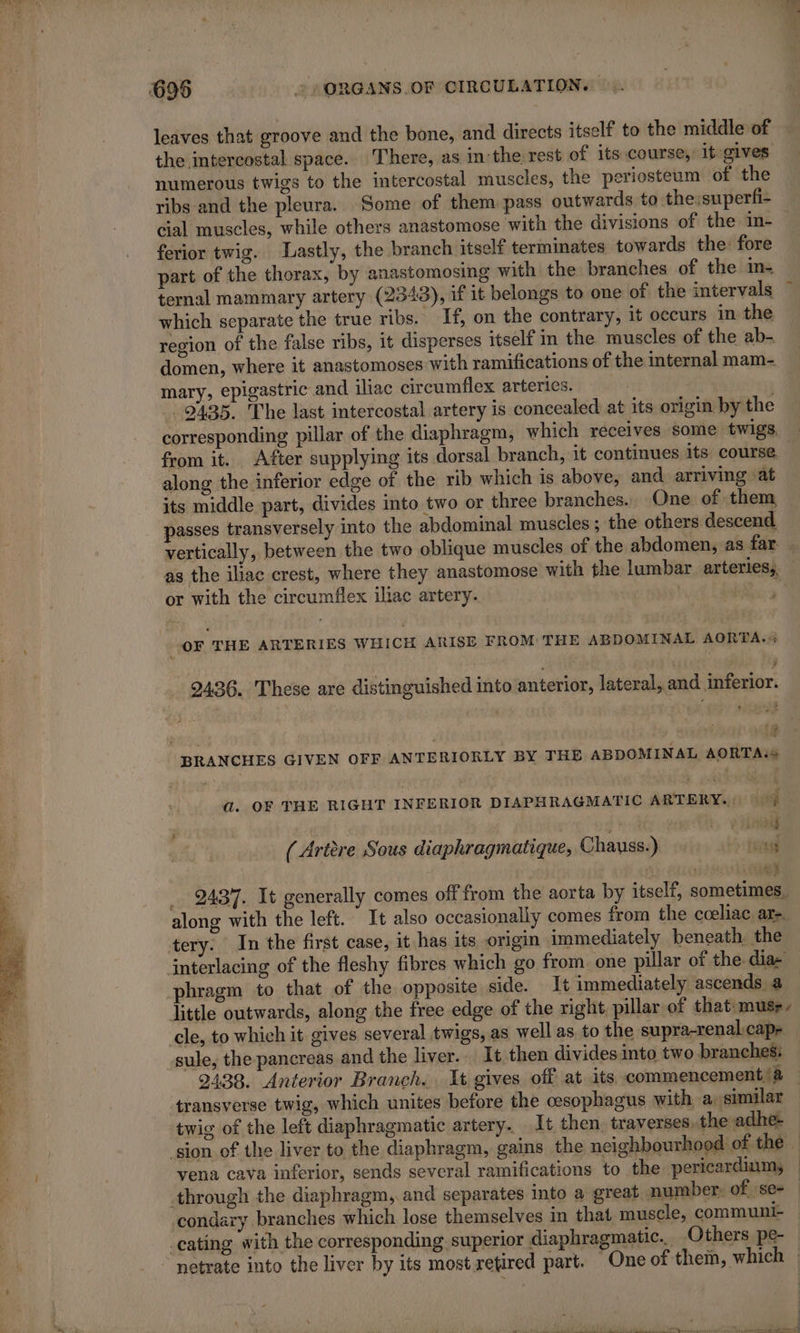 699 + AORGANS.OF CIRCULATION. :. leaves that groove and the bone, and directs itself to the middle of the intercostal space. There, as in'the rest of its course, it gives numerous twigs to the intercostal muscles, the periosteum of the ribs and the pleura. Some of them pass outwards to the:superfi- cial muscles, while others anastomose with the divisions of the in- ferior twig. Lastly, the branch itself terminates towards the: fore part of the thorax, by anastomosing with the branches of the in- which separate the true ribs. If, on the contrary, it occurs in the region of the false ribs, it disperses itself in the muscles of the ab- domen, where it anastomoses with ramifications of the internal mam- mary, epigastric and iliac circumflex arteries.) x 2435. The last intercostal artery is concealed at its origin by the corresponding pillar of the diaphragm, which receives some twigs, from it. After supplying its dorsal branch, it continues its course along the inferior edge of the rib which is above, and arriving at its middle part, divides into two or three branches. One of them passes transversely into the abdominal muscles; the others descend as the iliac crest, where they anastomose with the lumbar arteries, or with the circumflex iliac artery. | M OF THE ARTERIES WHICH ARISE FROM THE ABDOMINAL AORTA. 2436. These are distinguished into anterior, lateral, and inferior. i&gt; BRANCHES GIVEN OFF ANTERIORLY BY THE ABDOMINAL AORTA a. OF THE RIGHT INFERIOR DIAPHRAGMATIC ARTERY.) D ; : rape aces | ( Artère Sous diaphragmatique, Chauss.) ‘hou _ 2437. It generally comes off from the aorta by itself, sometimes, along with the left. It also occasionally comes from the coeliac arz. tery. In the first case, it has its origin immediately beneath the interlacing of the fleshy fibres which go from. one pillar of the-dia- phragm to that of the opposite side. It immediately ascends a little outwards, along the free edge of the right, pillar of that muss, cle, to whichit gives several twigs, as well as to the supra-renal.cap- -sule, the pancreas and the liver... It then divides into two branches: twig of the left diaphragmatic artery. It. then traverses. the adhe- condary branches which lose themselves in that muscle, communi- cating with the corresponding. superior diaphragmatic... Others pe- © netrate into the liver by its most retired part. — One of them, which |