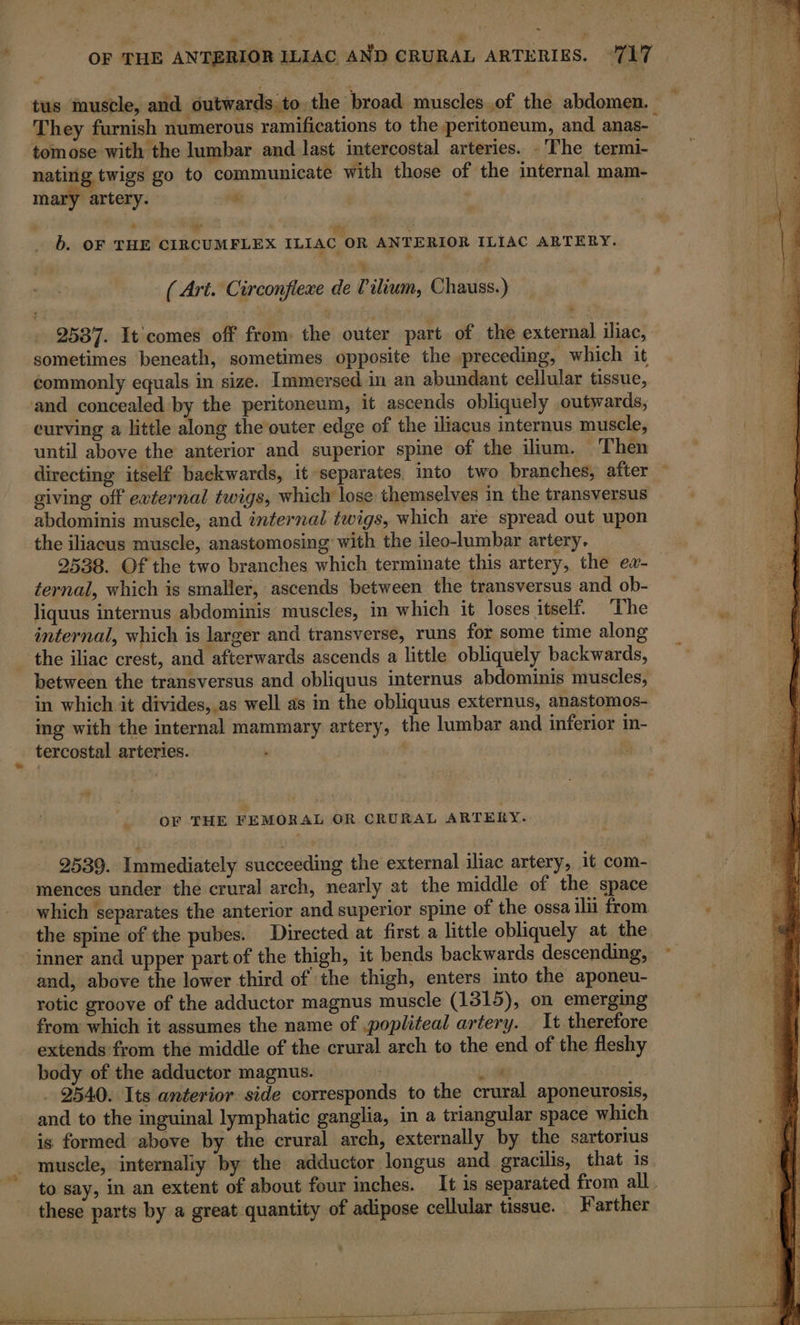 They furnish numerous ramifications to the peritoneum, and anas- tomose with the lumbar and last intercostal arteries. : The termi- nating twigs go to communicate with those of the internal mam- mary artery. # ‘ à ie bi oy y £ b. OF THE CIRCUMFLEX ILIAC OR ANTERIOR ILIAC ARTERY. ¥ ‘à ( Art. Circonflexe de Pilium, Chauss.) 2537. It comes off from: the outer part of the external iliac, sometimes beneath, sometimes opposite the preceding, which it commonly equals in size. Immersed in an abundant cellular tissue, and concealed by the peritoneum, it ascends obliquely outwards, curving a little along the outer edge of the iliacus internus muscle, until above the anterior and superior spine of the ilium. Then giving off external twigs, which lose themselves in the transversus abdominis muscle, and infernal twigs, which are spread out upon the iliacus muscle, anastomosing with the ileo-lumbar artery. 2538. Of the two branches which terminate this artery, the ew- ternal, which is smaller, ascends between the transversus and ob- liquus internus abdominis muscles, in which it loses itself. The internal, which is larger and transverse, runs for some time along the iliac crest, and afterwards ascends a little obliquely backwards, between the transversus and obliquus internus abdominis muscles, in which it divides, as well as in the obliquus externus, anastomos- ing with the internal mammary artery, the lumbar and inferior in- tercostal arteries. OF THE FEMORAL OR CRURAL ARTERY. 2539. Immediately succeeding the external iliac artery, it com- mences under the crural arch, nearly at the middle of the space which separates the anterior and superior spine of the ossa ili from the spine of the pubes. Directed at first a little obliquely at the inner and upper part of the thigh, it bends backwards descending, and, above the lower third of the thigh, enters into the aponeu- rotic groove of the adductor magnus muscle (1315), on emerging from which it assumes the name of .popliteal artery. It therefore extends from the middle of the crural arch to the end of the fleshy body of the adductor magnus. i _ 2540. Its anterior side corresponds to the crural aponeurosis, and to the inguinal lymphatic ganglia, in a triangular space which is formed above by the crural arch, externally by the sartorius muscle, internaliy by the adductor longus and gracilis, that is to say, in an extent of about four inches. It is separated from all. these parts by a great quantity of adipose cellular tissue. Farther “7 &gt; a+ - : ~— wy EG ot eh ae 4 à . A ee te te LS Tee ES 4” ‘ eo à EP OA