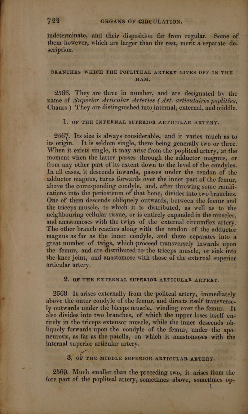 indeterminate, and their disposition far from regular. : Some of. them however, which are larger than the rest, merit a separate de- scription. BRANCHES WHICH THE POPLITEAL ARTERY GIVES OFF IN THE. HAM. 2566. They are three in number, and are designated by the name of Superior Articular Arteries (Art. articulaires poplitées, Chauss.) They are distinguished into internal, external, and middle. 1. OF THE INTERNAL SUPERIOR ARTICULAR ARTERY. 2567. Its size is always considerable, and it varies much as to its origin. It is seldom single, there being generally two or three. When it exists single, it may arise from the popliteal artery, at the moment when the latter passes through the adductor magnus, or from any other part of its extent down to the level of the condyles. In all cases, it descends inwards, passes under the tendon of the adductor magnus, turns forwards over the inner part of the femur, above the corresponding condyle, and, after throwing some ramifi- cations into the periosteum of that bone, divides into two branches. One of them descends obliquely outwards, between the femur and the triceps muscle, to which it is distributed, as well as to the neighbouring cellular tissue, or is entirely expanded in the muscles, and anastomoses with the twigs of the external circumflex artery. The other branch reaches along with the tendon of the adductor magnus as far as the inner condyle, and there separates into a great number of twigs, which proceed transversely inwards upon the femur, and are distributed to‘ the triceps muscle, or sink into the knee joint, and anastomose with those of the external superior articular artery. 2 2. OF THE EXTERNAL SUPERIOR ARTICULAR ARTERY. 2568. It arises externally from the politeal artery, immediately above the outer condyle of the femur, and directs itself transverse- ly outwards under the biceps muscle, winding over the femur. It also divides into two branches, of which the upper loses itself en- tirely in the triceps extensor muscle, while the inner descends ob- liquely forwards upon the condyle of the femur, under the apo- neurosis, as far as the patella, on which it anastomoses with the internal superior articular artery. fit _3, OF THE MIDDLE SUPERIOR ARTICULAR ARTERY. 2569. Much smaller than the preceding two, it arises from the fore part of the popliteal artery, sometimes above, suiropitties op-