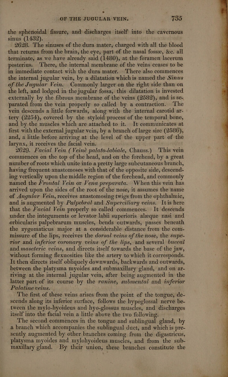 sd _OF THE JUGULAR VEIN. 735 the sphenoidal fissure, and: APRES itself into the cavernous sinus (1432). 2628. The sinuses of the dura mater, charged with all the blood that returns from the brain, the eye, part of the nasal fossæ, &amp;c. all terminate, as we have already said (1480), at the foramen lacerum posterius. There, the internal membrane of the veins ceases to be in immediate contact with the dura mater. There also commences the internal jugular vein, by a dilatation which is named the Sinus of the Jugular Vein. Commonly larger on the right side than on the left, and lodged in the jugular fossa,: this dilatation is invested externally by the fibrous membrane of the veins (2582), and is se- parated from the vein properly so called by a contraction. ‘The vein descends a little forwards, along with the internal carotid ar- tery (2254), covered by the styloid process of the temporal bone, and by the muscles which are attached to it. It communicates at first with the external jugular vein, by a branch of large size (2586), and, a little before arriving at the level of the upper part of the larynx, it receives the facial vein. 2629. Facial Vein (Veinè palato-labiale, Chauss.) This vein commences on the top of the head, and on the forehead, by a great number of roots which unite into a pretty large subcutaneous branch, having frequent anastomoses with that of the opposite side, descend- ing vertically upon the middle region of the forehead, and commonly named the Frontal Vein or Vena preparata. When this vein has arrived upon the sides of the root of the nose, it assumes the name of Angular Vein, receives anastomosing twigs from the ophthalmic, and is augmented by Palpebral and S'uperciliary veins. Itis here that the Facial Vein properly so called commences. It descends under the integuments or levator labii superioris aleeque nasi and orbicularis palpebrarum muscles, bends outwards, passes beneath the zygomaticus major at a considerable distance from the com- missure of the lips, receives the dorsal veins of the nose, the supe- rior and inferior coronary veins of the lips, and several buccal and maseteric veins, and directs itself towards the base of the jaw, without forming flexuosities like the artery to which it corresponds. It then directs itself obliquely downwards, backwards and outwards, between the platysma myoides and submaxillary gland, and on ar- riving at the internal jugular vein, after being augmented in the latter part of its course by the ae submental and inferior Palatine veins. The first of these veins arises from the point of the tongue, de- scends along its inferior surface, follows the hypoglossal nerve be- tween the mylo-hyoideus and hyo-glossus muscles, and discharges itself into the facial vein a little above the two following. The second commences in the tongue and sublingual gland, by a branch which accompanies the sublingual duct, and which is pre- sently augmented by other branches coming from ‘thé digastricus, platysma “myoides and mylohyoideus muscles, and from the sub- maxillary gland. By their union, these branches constitute the