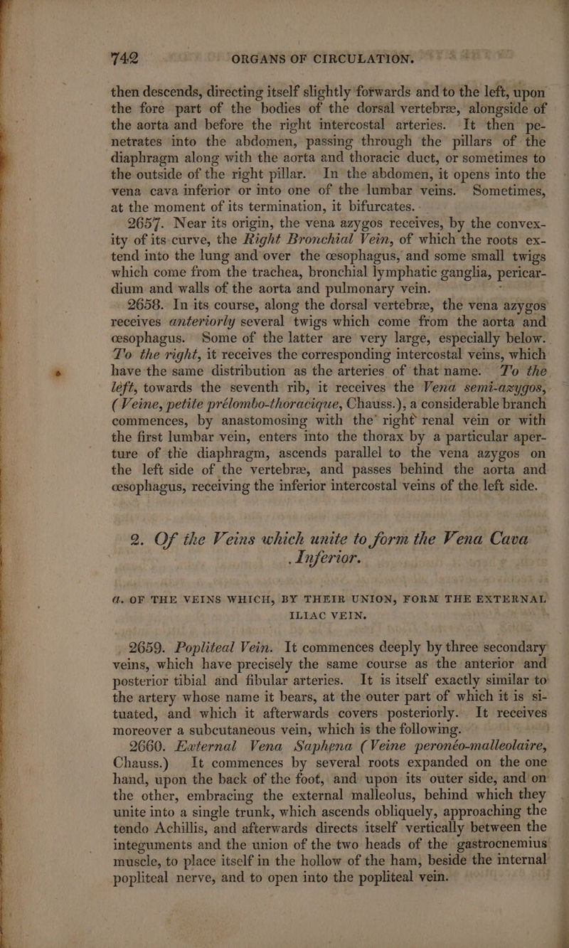 then descends, directing itself slightly forwards and to the left, upon the fore part of the “bodies of the dorsal vertebrae, alongside of the aorta and before the right intercostal arteries. It then pe- netrates into the abdomen, passing through the pillars of the diaphragm along with the aorta and thoracic duct, or sometimes to the outside of the right pillar. In the abdomen, it opens into the vena cava inferior or into one of the lumbar veins. Sometimes, at the moment of its termination, it bifurcates. : : 2657. Near its origin, the vena azygos receives, by the convex- ity of its.curve, the Right Bronchial Vein, of which the roots ex- tend into the lung and over the cesophagus, and some small twigs which come from the trachea, bronchial lymphatic gangha, pericar- dium and walls of the aorta and pulmonary vein. 2658. In its course, along the dorsal vertebrae, the vena azygos receives anteriorly several twigs which come from the aorta and cesophagus. Some of the latter are very large, especially below. To the right, it receives the corresponding mtercostal ves, which have the same distribution as the arteries of that name. To the left, towards the seventh rib, it receives the Vena semi-azygos, - (Veine, petite prélombo-thoracique, Chauss.), a considerable branch commences, by anastomosing with the’ right renal vein or with the first lumbar vein, enters into the thorax by a particular aper- ture of the diaphragm, ascends parallel to the vena azygos on the left side of the vertebrae, and passes behind the aorta and cesophagus, receiving the inferior intercostal veins of the left side. 2. Of the Veins which unite to form the Vena Cava Inferior. ad. OF THE VEINS WHICH, BY THEIR UNION, FORM THE EXTERNAL ILIAC VEIN. 7 2659. Popliteal Vein. It commences deeply by three secondary veins, which have precisely the same course as the anterior and posterior tibial and fibular arteries. It 1s itself exactly similar to the artery whose name it bears, at the outer part of which it is si- tuated, and which it afterwards covers posteriorly. It receives moreover a subcutaneous vein, which is the following. 2660. External Vena Saphpna (Veine peronéo-malleolaire, Chauss.) It commences by several roots expanded on the one hand, upon the back of the foot, and upon its outer side, and on the other, embracing the edt malleolus, behind which they unite into a single trunk, which ascends obliquely, approaching the tendo Achillis, and afterwards directs itself vertically between the integuments and the union of the two heads of the gastrocnemius muscle, to place itself in the hollow of the ham, beside the internal popliteal nerve, and to open into the popliteal vein. |
