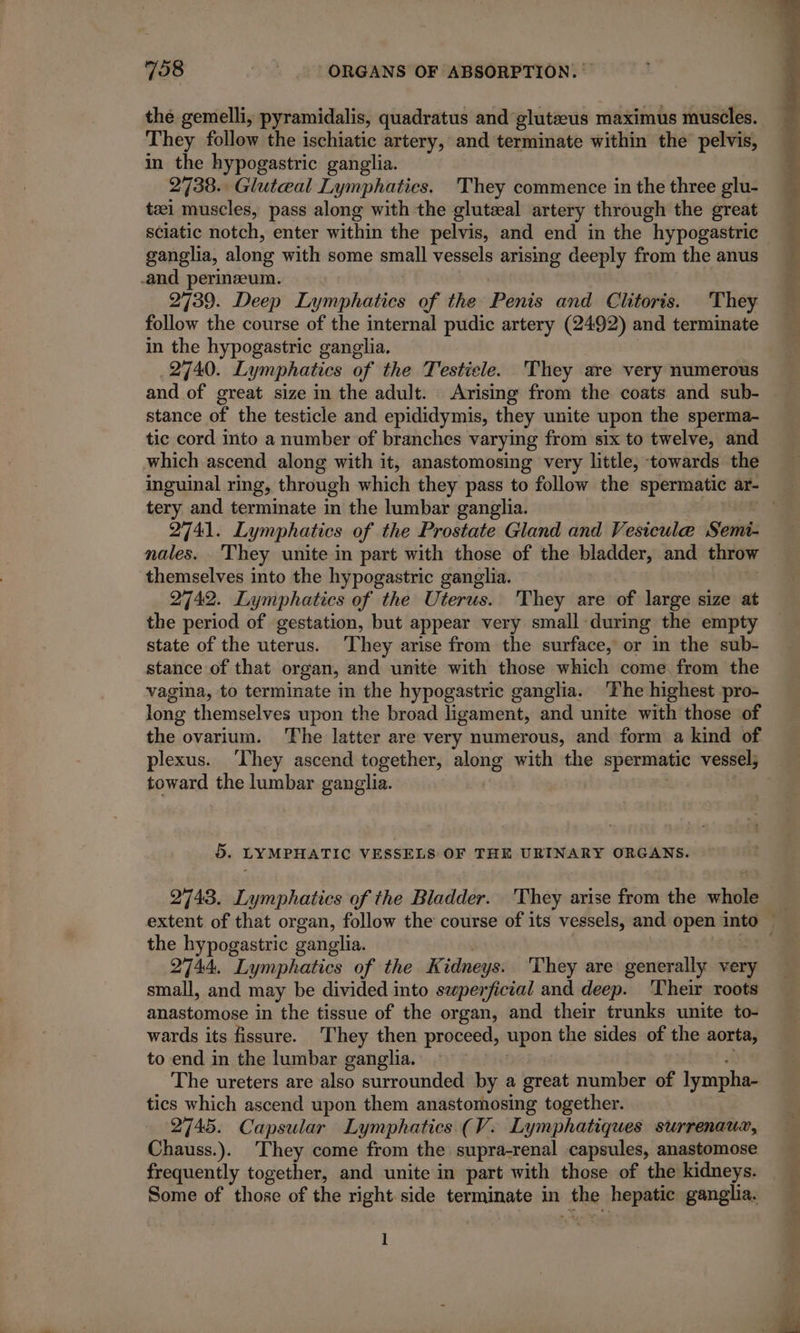 the gemelli, pyramidalis, quadratus and glutæus maximus muscles. They follow the ischiatic artery, and terminate within the pelvis, in the hypogastric ganglia. 2738. Glutæal Lymphaties. They commence in the three glu- tæi muscles, pass along with the glutæal artery through the great sciatic notch, enter within the pelvis, and end in the hypogastric ganglia, along with some small vessels arising deeply from the anus -and perinæum. 2739. Deep Lymphatics of the Penis and Clitoris. They follow the course of the internal pudic artery (2492) and terminate in the hypogastric ganglia. . 2740. Lymphatics of the Testicle. They are very numerous and of great size in the adult. Arising from the coats and sub- stance of the testicle and epididymis, they unite upon the sperma- tic cord into a number of branches varying from six to twelve, and which ascend along with it, anastomosing very little, towards the tery and terminate in the lumbar ganglia. 2741. Lymphatics of the Prostate Gland and Vesicule Semi- themselves into the hypogastric ganglia. 2742. Lymphatics of the Uterus. They are of large size at the period of gestation, but appear very small during the empty state of the uterus. They arise from the surface, or in the sub- stance of that organ, and unite with those which come from the vagina, to terminate in the hypogastric ganglia. ‘The highest pro- long themselves upon the broad ligament, and unite with those of the ovarium. The latter are very numerous, and form a kind of plexus. They ascend together, along with the spermatic vessel; toward the lumbar ganglia. 5. LYMPHATIC VESSELS OF THE URINARY ORGANS. 2743. Lymphatics of the Bladder. They arise from the whole the hypogastric ganglia. 2744. Lymphatics of the K idneys. They are generally very small, and may be divided into swperficial and deep. ‘Their roots anastomose in the tissue of the organ, and their trunks unite to- wards its fissure. ‘They then proceed, upon the sides of the aorta, to end in the lumbar ganglia. The ureters are also surrounded by a great number of lympha- tics which ascend upon them anastomosing together. 2745. Capsular Lymphatics (V. Lymphatiques surrenaux, Chauss.). They come from the supra-renal capsules, anastomose frequently together, and unite in part with those of the kidneys. Some of those of the right side terminate in the. hepatic ganglia. 1
