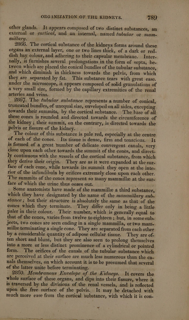 other glands. It appears composed of two distinct substances, an external or cortical, and an internal,, named tubular or mam- millary. : 2866. The cortical substance of the kidneys forms around these organs an external layer, one or two lines thick, of a dark or red- dish bay colour, and adhering to their.capsular membrane. Inter- nally, it furnishes several prolongations in the form of septa, be- tween which are placed the conical bundles of the tubular substance, and which diminish in thickness towards the pelvis, from which they are separated by fat. This substance tears with great ease. under the microscope, it appears composed of solid granulations of a very small size, formed by the capillary extremities of the renal arteries and veins. 2867. The tubular substance represents a number of conical, truncated bundles, of unequal size, enveloped on all sides, excepting towards their summits, by the cortical substance. The base of all these cones is rounded and directed towards the circumference of the kidney ; their summit, on the contrary, is directed towards the pelvis or fissure of the kidney. | The colour of this substance is pale red, especially at the centre of each of the cones. Its tissue is dense, firm and tenacious. It is formed of a great number of delicate convergent canals, very close upon each other towards the summit of the cones, and direct- ly continuous with the vessels of the cortical substance, from which they derive their origin. They are as it were expanded at the sur- face of each cone, while towards its summit they open at the inte- rior of the infundibula by orifices extremely close upon each other. The summits of the cones represent so many mammillæ at the sur- face of which the urine thus oozes out. : Some anatomists have made of the mammillz a third substance, which they have designated by the name of the mammillary sub. stance ; but their structure is absolutely the same as that of the cones which they terminate. They differ only in being a little paler in their colour. Their number, which is generally equal to that of the cones, varies from twelve to eighteen ; but, in some sub- jects, two cones are seen ending in a single mammilla, or two mam- millæ terminating a single cone. They are separated from each other by a considerable quantity of adipose cellular tissue. They are of- ten short and blunt, but they are also seen to prolong themselves into a more or less distinct prominence.of a cylindrical or pointed form. ‘The orifices of the canals of the tubular substance which are perceived at their surface are much less numerous than the ca- nals themselves, on which account it is to be presumed that several of the latter unite before terminating. by 2860. Membranous Envelope of the Kidneys. It covers the whole surface of these organs, and dips into their fissure, where it is traversed by the divisions of the renal vessels, and is reflected upon the free surface of the pelvis. It may be detached with much more ease from the cortical substance, with which it is con-