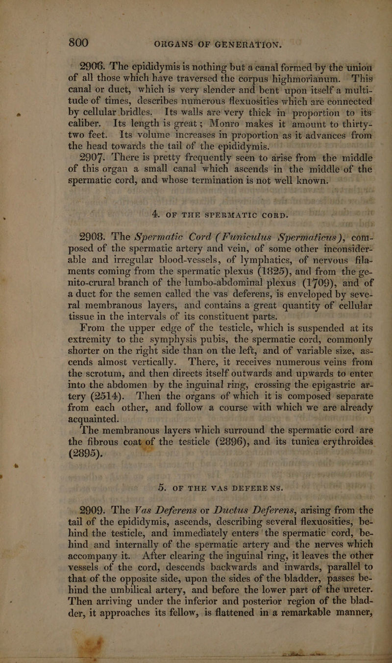 * 2906. The epididymis is nothing but a canal formed by the union of all those which have traversed the corpus highmorianum. This canal or duct, which is very slender and bent upon itself a multi- tude of times, describes numerous flexuosities which are connected by cellular bridles. Its walls are very thick in proportion to its ealiber. Its length is great; Monro makes it amount to thirty- two feet. Its volume increases in proportion as it advances from the head towards the tail of the epididymis. | 2907. There is pretty frequently seen to arise from the middle of this organ a small canal which ascends in the middle of thé spermatic cord, and whose termination is not well known. © 4. OF THE SPERMATIC CORD. 2908. The Spermatic Cord (Funiculus Spermaticus ), com- posed of the spermatic artery and vein, of some other inconsidér- able and irregular blood-vessels, of lymphatics, of nervous fila- ments coming from the spermatic plexus (1825), and from the ge- nito-crural branch of the lumbo-abdominal plexus (1709), and of a duct for the semen called the vas deferens, is enveloped by seve- ral membranous layers, and contains a great quantity of cellular tissue in the intervals of its constituent parts. From the upper edge of the testicle, which is suspended at its extremity to the symphysis pubis, the spermatic cord, commonly shorter on the right side than on the left, and of variable size, as- cends almost vertically. There, it receives numerous veins from the scrotum, and then directs itself outwards and upwards to enter into the abdomen by the inguinal ring, crossing the epigastric ar- tery (2514). Then the organs of which it is composed’ separate from each other, and follow a course with which we are already acquainted. : | | The membranous layers which surround the spermatic cord are the fibrous coat of the testicle (2896), and its tunica erythroides (2895). | 5. OF THE VAS DEFERE NS. 2909. The Vas Deferens or Ductus Deferens, arising from the tail of the epididymis, ascends, describing several flexuosities, be- hind the testicle, and immediately enters ‘the spermatic cord, be- hind and internally of the spermatic artery and the nerves which accompany it. After clearing the inguinal ring, it leaves the other vessels of the cord, descends backwards and inwards, parallel to that of the opposite side, upon the sides of the bladder, passes be- hind the umbilical artery, and before the lower part of the ureter. Then arriving under the inferior and posterior region of the blad- der, it approaches its fellow, is flattened ina remarkable manner,