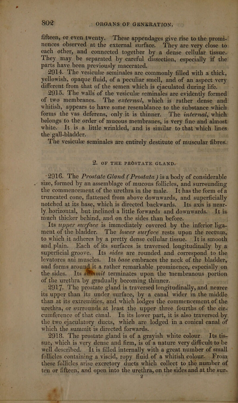 fifteen, or even twenty. These appendages give rise to the promi-’ nences observed at the external surface. They are very close to: each other, and connected together by a dense cellular tissue. . They may be separated by careful dissection, especially if the’ parts have been previously macerated. je 2914. The vesiculæ seminales are commonly filled with a thick, _ yellowish, opaque fluid, of a peculiar smell, and of an aspect very different from that of the semen which is ejaculated during life. 2915. The walls of the vesiculæ seminales are evidently formed of two membranes. The external, which is rather dense and whitish, appears to have some resemblance to the substance which: forms the vas deferens, only it is thinner. The internal, which: belongs to the order of mucous membranes, is very fine and almost white. It is a little wrinkled, and is similar to that which lines: the gall-bladder.. - : | | rte Doi The vesiculæ seminales are entirely destitute of muscular fibres. 2. OF THE PROSTATE GLAND-- ‘2916. The Prostate Gland ( Prostata ) is a body of considerable . Size, formed by an assemblage of mucous follicles, and surrounding the commencement of the urethra in the male. It has the form ofa truncated cone, flattened from above downwards, and superficially notched at its base, which is directed backwards. Its axis is near- ly horizontal, but inclined a little forwards and downwards. It is much thicker behind, and on the sides than before. Its upper surface is immediately covered by the inferior liga- ment of the bladder. The lower surface rests upon the rectum, to which it adheres by a pretty dense cellular tissue. : It is smooth and plain. Hach of its surfaces is traversed longitudinally by a superficial groove. Its sides are rounded and correspond to the | levatores ani muscles. Its base embraces the neck of the bladder, | and forms around it a rather remarkable prominence, especially on the sides. Its s@mmit terminates upon the membranous. portion of the urethra by gradually becoming thinner. _ | 2917. The prostate gland is traversed longitudinally, and nearer its upper than its under surface, by a canal wider m the middle — than at its extremities, and which lodges the commencement of the urethra, or surrounds at least the upper three fourths of the cir+ cumference of that canal. In its lower part, it is also traversed by the two ejaculatory ducts, which are lodged in a conical canal of which the summit is directed forwards. | | | 2918. The prostate gland is of a grayish white colour: Its tis- sue, which is very dense and firm, is of a nature very difficulttobe well described. It is filled internally with a great number of small follicles containing a viscid, ropy fluid of a whitish colour... From these follicles arise excretory ducts which collect to the number of ten or fifteen, and open into the urethra, on the sides and at the sur- * d = i 4 , — SS a ee SON ee RENE PES ae ene : — -- Se See — *