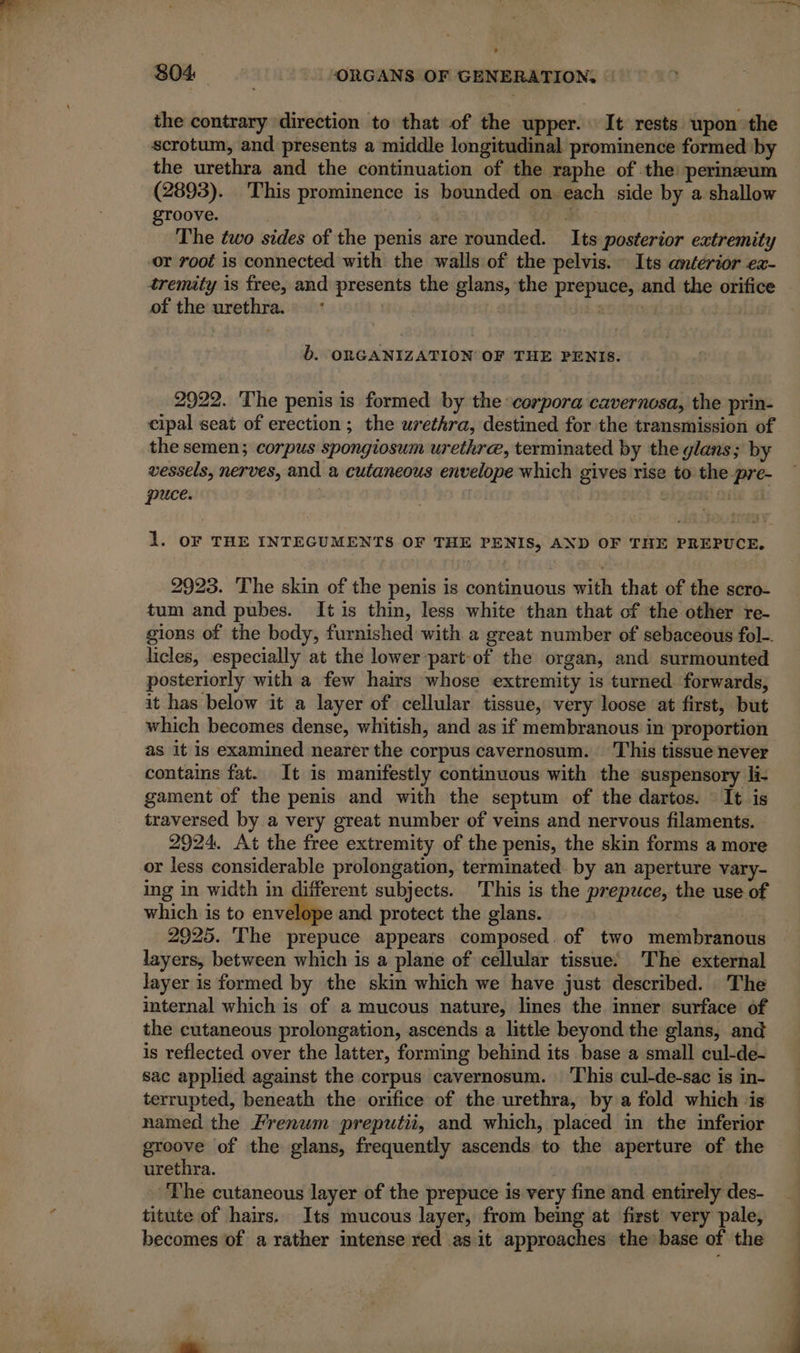 the contrary direction to that of the upper. It rests upon the scrotum, and presents a middle longitudinal prominence formed by the urethra and the continuation of the raphe of the: perineum (2893). This prominence is bounded on each side by a shallow groove. : The two sides of the penis are rounded. Its posterior extremity or root is connected with the walls of the pelvis. Its anterior ex- tremity is free, and presents the glans, the prepuce, and the orifice of the urethra. pi | D. ORGANIZATION OF THE PENIS. 2922. The penis is formed by the corpora cavernosa, the prin- cipal seat of erection ; the urethra, destined for the transmission of the semen; corpus spongiosum urethr@, terminated by the glans; by vessels, nerves, and a cutaneous envelope which gives rise to the pre- puce. ie a 1. OF THE INTEGUMENTS OF THE PENIS, AND OF THE PREPUCE, 2923. The skin of the penis is continuous with that of the scro- tum and pubes. It is thin, less white than that cf the other re- gions of the body, furnished with a great number of sebaceous fol-. licles, especially at the lower-part-of the organ, and surmounted posteriorly with a few hairs whose extremity is turned forwards, it has below it a layer of cellular tissue, very loose at first, but which becomes dense, whitish, and as if membranous in proportion as it is examined nearer the corpus cavernosum. This tissue never contains fat. It is manifestly continuous with the suspensory li- gament of the penis and with the septum of the dartos. It is traversed by a very great number of veins and nervous filaments. 2924. At the free extremity of the penis, the skin forms a more or less considerable prolongation, terminated. by an aperture vary- ing in width in different subjects. This is the prepuce, the use of which is to envelope and protect the glans. | 2925. The prepuce appears composed. of two membranous layers, between which is a plane of cellular tissue: The external layer is formed by the skin which we have just described. The internal which is of a mucous nature, lines the inner surface of the cutaneous prolongation, ascends a little beyond the glans, and is reflected over the latter, forming behind its base a small cul-de- sac applied against the corpus cavernosum. ‘This cul-de-sac is in- terrupted, beneath the orifice of the urethra, by a fold which ‘is named the Frenum preputii, and which, placed in the inferior groove of the glans, frequently ascends to the aperture of the urethra. : The cutaneous layer of the prepuce is very fine and entirely des- titute of hairs. Its mucous layer, from being at first very pale, becomes of a rather intense red as it approaches the base of the a