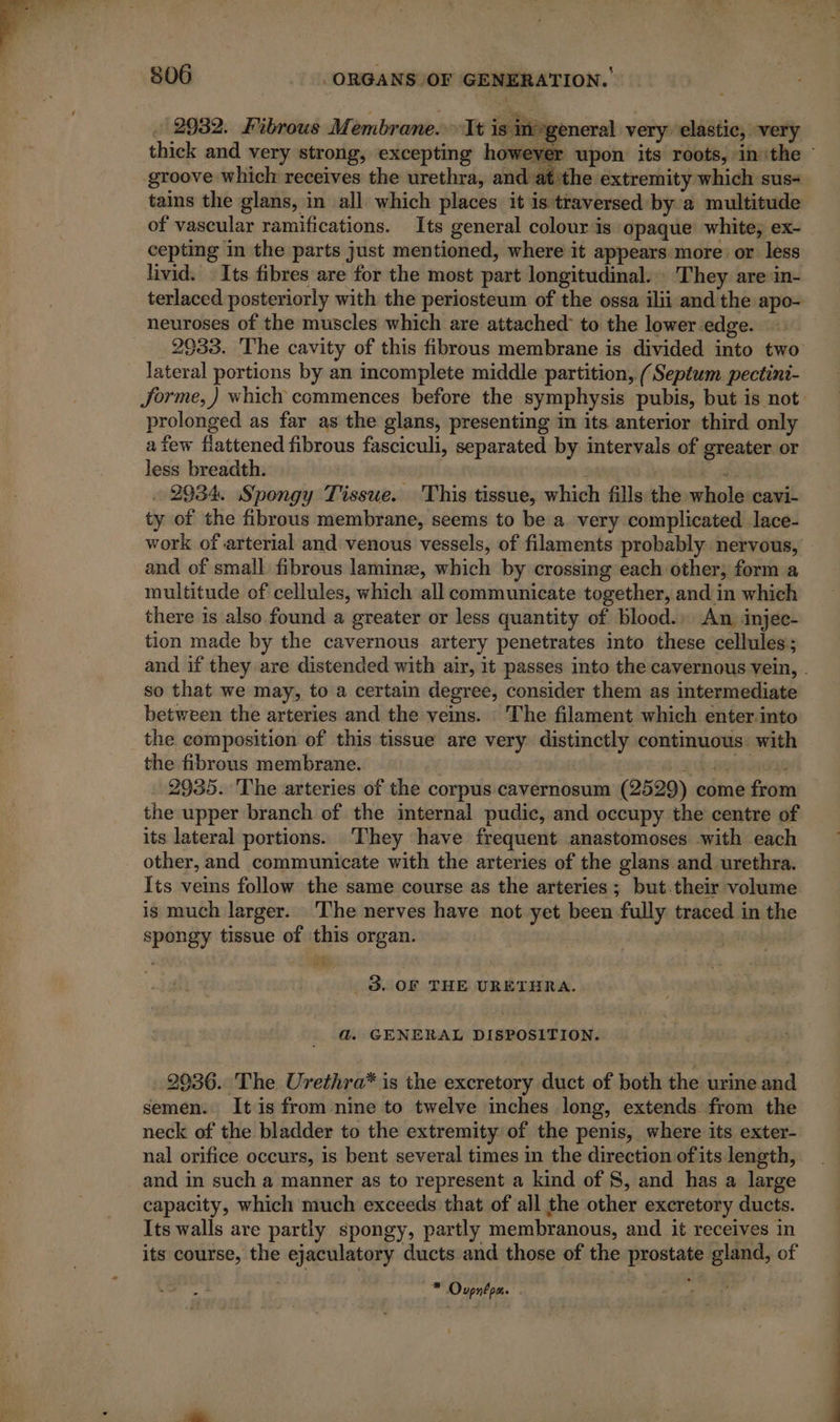 _ 2932. Fibrous Membrane. It is igeneral very elastic, very thick and very strong, excepting however upon its roots, inthe © groove which receives the urethra, and at the extremity which sus- tains the glans, in all which places it isttraversed by a multitude of vascular ramifications. Its general colour is opaque white; ex- cepting in the parts just mentioned, where it appears more. or less livid. Its fibres are for the most part longitudinal... They are in- terlaced posteriorly with the periosteum of the ossa ilii and the apo- neuroses of the muscles which are attached’ to the lower edge. 2933. The cavity of this fibrous membrane is divided into two lateral portions by an incomplete middle partition, (Septum pectini- Jorme,) which commences before the symphysis pubis, but is not prolonged as far as the glans, presenting in its anterior third only afew flattened fibrous fasciculi, separated by intervals of greater or less breadth. ! | &amp; + 2934 Spongy Tissue. This tissue, which fills the whole cavi- ty of the fibrous membrane, seems to be a very complicated lace- work of arterial and venous vessels, of filaments probably nervous, and of small fibrous laminæ, which by crossing each other, form a multitude of cellules, which all communicate together, and in which there is also found a greater or less quantity of blood.» An injec- tion made by the cavernous artery penetrates into these cellules; and if they are distended with air, it passes into the cavernous vein, . so that we may, to a certain degree, consider them as intermediate between the arteries and the veins. The filament which enter.into the composition of this tissue are very distinctly continuous. with the fibrous membrane. Da i:pe 4 _ 2935. The arteries of the corpus cavernosum (2529) come from the upper branch of the internal pudic, and occupy the centre of its lateral portions. They have frequent anastomoses with each other, and communicate with the arteries of the glans and urethra. Its veins follow the same course as the arteries; but.their volume is much larger. The nerves have not yet been fully traced in the spongy tissue of this organ. | 3. OF THE URETHRA. ad. GENERAL DISPOSITION. - 2936. The Urethra* is the excretory duct of both the urine and semen. It is from nine to twelve inches long, extends from the neck of the bladder to the extremity of the penis, where its exter- nal orifice occurs, is bent several times in the direction of its length, and in such a manner as to represent a kind of $, and has a large capacity, which much exceeds that of all the other excretory ducts. Its walls are partly spongy, partly membranous, and it receives in its course, the ejaculatory ducts and those of the prostate gland, of ee Ouvpntps. ,
