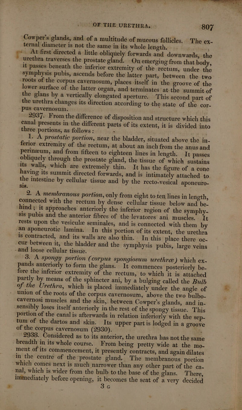 Cowper's glands, and of a multitude of mucous follicles. The ex- ternal diameter is not the same in its whole length. | ; re At first directed à little obliquely forwards and downwards, the urethra traverses the prostate gland. Onemerging from that body, it passes beneath the inferior extremity of the rectum, under the ‘symphysis pubis, ascends before the latter part, between the two Toots of the corpus cavernosum, places itself in the groove of the lower surface of the latter organ, and terminates at the summit-of the glans by a vertically elongated aperture. This second part of the urethra changes its direction according to the state of the cor- pus cavernosum. | | 2937. From the difference of disposition and structure which this Canal presents in the different parts of its extent, it is divided into three portions, as follows : . | _ I. A prostatic portion, near the bladder, situated above the in- ferior extremity of the rectum, at about an inch from the anus and perinæum, and from fifteen to eighteen lines in length. It passes obliquely through the prostate gland, the tissue of which sustains its walls, which are extremely thin. It has the figure of a cone having its summit directed forwards, and is intimately attached to the intestine by cellular tissue and by the recto-vesical aponeuro- sis. . ? 2. A membranous portion, only from eight to ten lines in length, Connected with the rectum by dense cellular tissue below and be- hind ; it approaches anteriorly the inferior region of the symphy- sis pubis and the anterior fibres of the levatores’ ani muscles. It rests upon the vesiculæ seminales, and is connected with them by -an aponeurotic lamina. In this portion of its extent, the urethra is contracted, and its walls are also thin. In this place there oc- cur between it, the bladder and the symphysis pubis, large veins -and loose cellular tissue. 3. A spongy portion (corpus spongiosum urethræ) which ex. pands anteriorly to form the glans. It commences posteriorly be- fore the inferior extremity of the rectum, to which it is attached partly by means of the sphincter ani, by a bulging called the Bulb of the Urethra, which is placed immediately under the angle of union of the roots of the corpus cavernosum, above the two bulbo- cavernosi muscles and the skin,. between Cowper’s glands, and in- Sensibly loses itself anteriorly in the rest of the spongy tissue. This portion of the canal is afterwards in relation inferiorly with the sep- ~tum of the dartos and skin. Its upper part is lodged in a groove of the corpus cavernosum (2930). ott 2938. Considered as to its anterior, the urethra has not the same _ breadth in its whole course. From being pretty wide at the mo- ment of its commencement, it presently contracts, and again dilates in the centre of the ‘prostate gland. The membranous portion which comes next is much narrower than any other part of the ca- nal, which is wider from the bulb to the base of the glans. There, immediately before opening, it becomes the seat of a very decided » Sa 3a