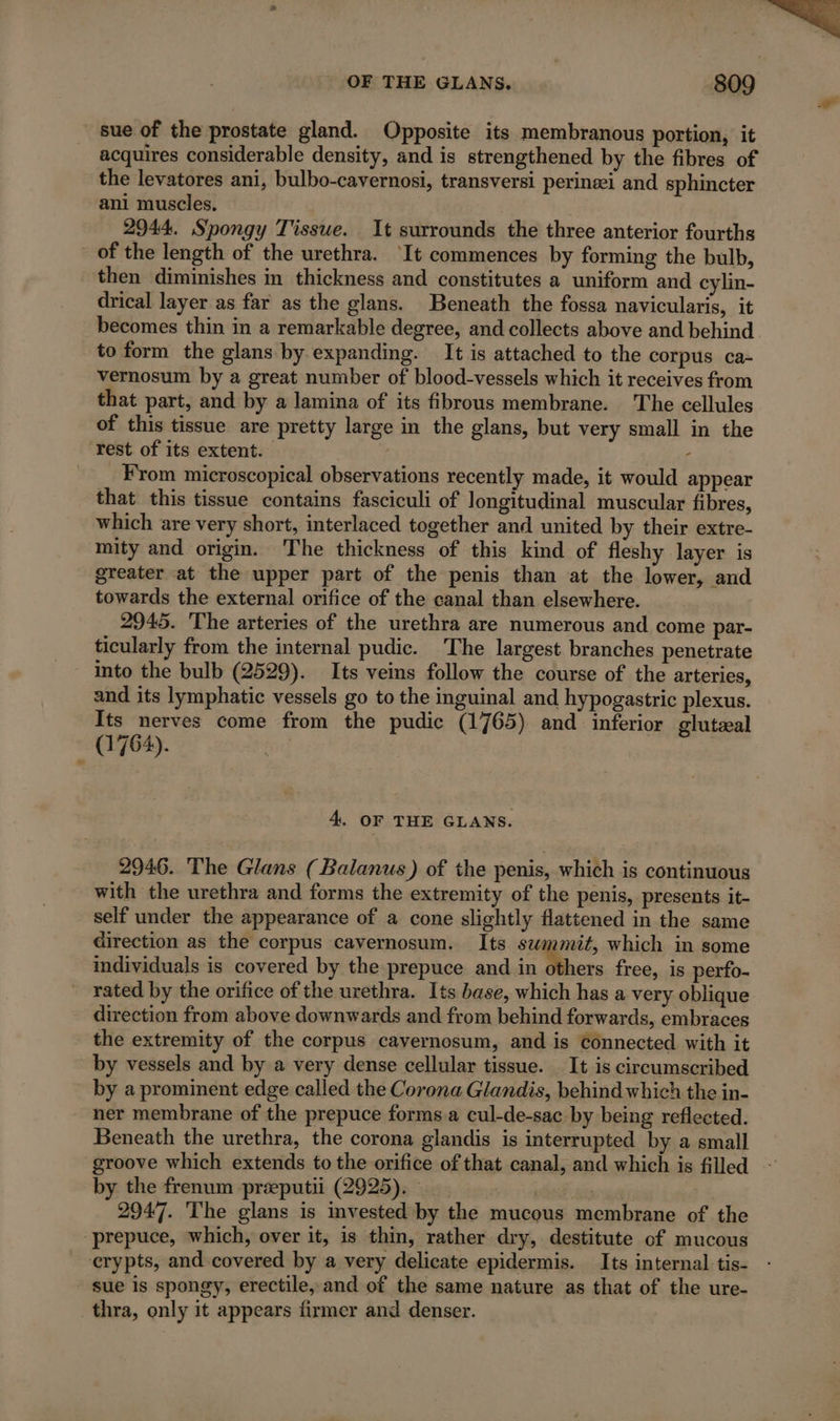 sue of the prostate gland. Opposite its membranous portion, it acquires considerable density, and is strengthened by the fibres of the levatores ani, bulbo-cavernosi, transversi perinei and sphincter ani muscles, | 2944. Spongy Tissue. It surrounds the three anterior fourths of the length of the urethra. ‘It commences by forming the bulb, then diminishes in thickness and constitutes a uniform and cylin- drical layer as far as the glans. Beneath the fossa navicularis, it becomes thin in a remarkable degree, and collects above and behind to form the glans by expanding. It is attached to the corpus ca- vernosum by a great number of blood-vessels which it receives from that part, and by a lamina of its fibrous membrane. The cellules of this tissue are pretty large in the glans, but very small in the rest of its extent. fa From microscopical observations recently made, it would appear that this tissue contains fasciculi of longitudinal muscular fibres, which are very short, interlaced together and united by their extre- mity and origin. The thickness of this kind of fleshy layer is greater at the upper part of the penis than at the lower, and towards the external orifice of the canal than elsewhere. 2945. The arteries of the urethra are numerous and come par- ticularly from the internal pudic. The largest branches penetrate into the bulb (2529). Its veins follow the course of the arteries, and its lymphatic vessels go to the inguinal and hypogastric plexus. Its nerves come from the pudic (1765) and inferior gluteal (1764). | 4. OF THE GLANS. 2946. The Glans ( Balanus) of the penis, which is continuous with the urethra and forms the extremity of the penis, presents it- self under the appearance of a cone slightly flattened in the same direction as the corpus cavernosum. Its swmmit, which in some individuals is covered by the prepuce and in others free, is perfo- rated by the orifice of the urethra. Its base, which has a very oblique direction from above downwards and from behind forwards, embraces the extremity of the corpus cavernosum, and is connected with it by vessels and by a very dense cellular tissue. It is circumscribed by a prominent edge called the Corona Glandis, behind which the in- ner membrane of the prepuce forms a cul-de-sac by being reflected. Beneath the urethra, the corona glandis is interrupted by a small groove which extends to the orifice of that canal, and which is filled ~ by the frenum præputii (2925). | | | 2947. The glans is invested by the mucous membrane of the ‘prepuce, which, over it, is thin, rather dry, destitute of mucous erypts, and covered by a very delicate epidermis. Its internal tis- sue is spongy, erectile, and of the same nature as that of the ure- thra, only it appears firmer and denser.