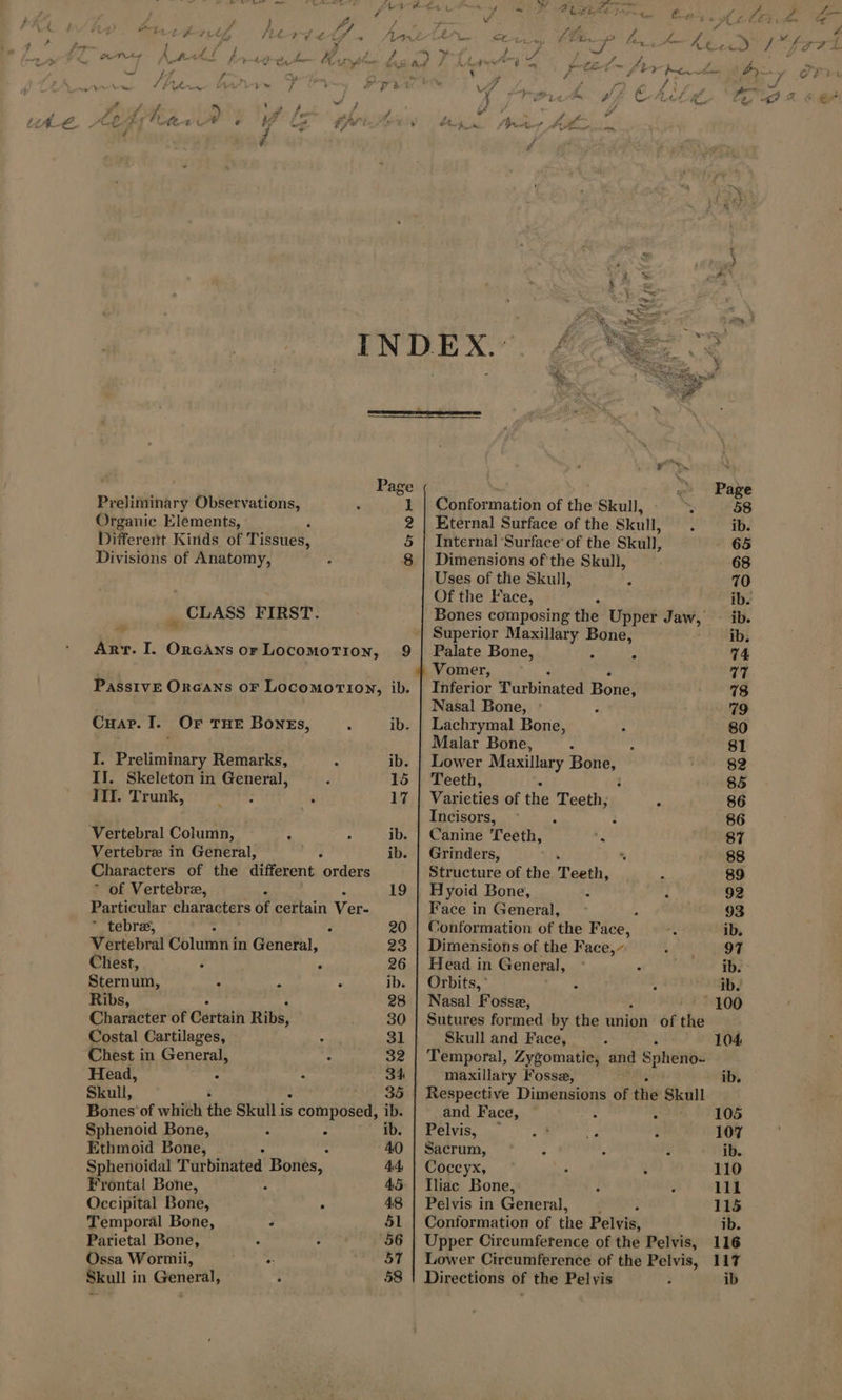 + on we PAUSE ae * À J # V4 ARE 2 La # | ys Fit A Oe Me hy wy heft btn. ! fy x # HNet A fir CL fra pi, tom Masry haan et L # # me ve fé Aero Fy { F pa s oe Tine 3 7 À + Fa LF er : J Ei à Æ FF fal 7 CEE a eit à OE La Ff . “EL Â &lt; F at ~ £ i &amp; Fag £4 a, # ia ~ ? ; 4 - aa es 2 TT aN ES Fn # Nc j né ~ À is, ‘ f bdr | a ‘dinate wal A ; \ : Cha je #* ft -_ a hy F- At ed Am A SZ #; #1 f À sm # Le LEA € 7 4 4 Jf 4 at Ye FPE ce Preliminary Observations, 1 Organic Elements, 2 Different Kinds of Tissues, 5 Divisions of Anatomy, 8 : CLASS FIRST. Arr. I. Orcans or Locomotion, 9 Passive ORGANS or Locomotion, ib. Cuar. I. Or THE Bones, : ib. I. Preliminary Remarks, . ib. IT. Skeleton in General, J 15 eee Leunk, tir ont . 17 Vertebral Column, à ; ib. Vertebræ in General, 93 ib. Characters of the different orders ~ of Vertebræ, 4 19 Particular characters of certain Ver- * tebre, — ; ° 20 Vertebral Column in General, 23 Chest, : À 26 Sternum, À x P ib. Ribs, 28 Character of Céttain Ribs, 30 Costal Cartilages, À 31 Chest in General, : 32 Head, : : 34 Skull, 35 Bones of which the Skull is j conigoaed! ib. Sphenoid Bone, : 2 ib. Ethmoid Bone, 40 Sphenoidal Turbinated Bones, 44 Frontal Bone, : 45 Occipital Bone, : 48 Temporal Bone, ; 51 Parietal Bone, A 7e 56 Ossa Wormii, : 57 Skull in General, ; 58 Conformation of the Skull, 4 Eternal Surface of the Skull, Internal ‘Surface’ of the Skull, Dimensions of the Skull, Uses of the Skull, Of the Face, A Bones composing the Upper dus : Superior Maxillary Bone, Palate Bone, : Vomer, : Inferior Turbinated Bonds Nasal Bone, ° 3 Lachrymal Bone, Malar Bone, Lower Maxillary Pa Teeth, &gt; Varieties of the Vestes : Incisors, : A 2 Canine Teeth, of Grinders, *, Structure of the Test. à Hyoid Bone, : : Face in General, A Conformation of the Face, Dimensions of the Face, Head in General, : &gt; Orbits, ë Nasal Fossæ, Sutures formed by the union of the Skull and Face, Temporal, Zygomatie, and Sphere maxillary Fosse, Respective Dimensions of the Skull and Face, : se ST MEN F Sacrum, : i ; Coccyx, . : Iliac Bone, Pelvis in General, : Conformation of the Pelvis, Upper Circumference of the Pelvis, Lower Circumference of the Pelvis, Directions of the Pelvis