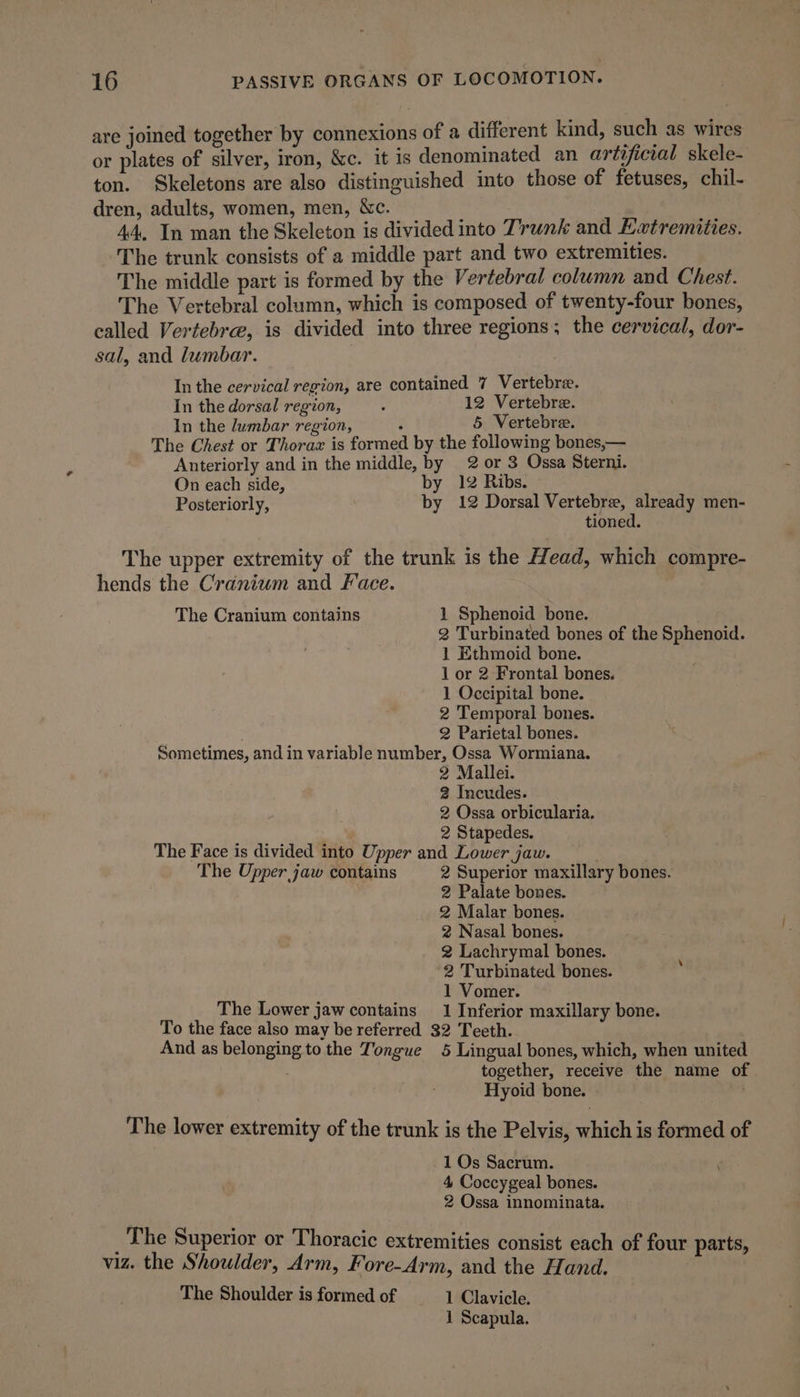 are joined together by connexions of a different kind, such as wires or plates of silver, iron, &amp;e. it is denominated an artificial skele- ton. Skeletons are also distinguished into those of fetuses, chil- dren, adults, women, men, &amp;c. 44, In man the Skeleton is divided into Trunk and Extremities. The trunk consists of a middle part and two extremities. The middle part is formed by the Vertebral column and Chest. The Vertebral column, which is composed of twenty-four bones, called Vertebree, is divided into three regions; the cervical, dor- sal, and lumbar. In the cervical region, are contained 7 Vertebre. In the dorsal region, Y 12 Vertebre. In the lumbar region, : 5 Vertebre. The Chest or Thorax is formed by the following bones,— Anteriorly and in the middle, by 2 or 3 Ossa Sterni. On each side, by 12 Ribs. Posteriorly, by 12 Dorsal Vertebre, already men- tioned. The upper extremity of the trunk is the Head, which compre- hends the Cranium and Face. The Cranium contains 1 Sphenoid bone. 2 Turbinated bones of the Sphenoid. 1 Ethmoid bone. 1 or 2 Frontal bones. 1 Occipital bone. 2 Temporal bones. . 2 Parietal bones. Sometimes, and in variable number, Ossa Wormiana. 2 Mallei. 2 Incudes. 2 Ossa orbicularia. 2 Stapedes. The Face is divided into Upper and Lower jaw. The Upper jaw contains 2 Superior maxillary bones. 2 Palate bones. 2 Malar bones. 2 Nasal bones. 2 Lachrymal bones. 2 Turbinated bones. 1 Vomer. The Lower jaw contains 1 Inferior maxillary bone. To the face also may be referred 32 Teeth. And as belonging to the Tongue 5 Lingual bones, which, when united together, receive the name of Hyoid bone. The lower extremity of the trunk is the Pelvis, which is formed of 1 Os Sacrum. 4 Coccygeal bones. 2 Ossa innominata. \ The Superior or Thoracic extremities consist each of four parts, viz. the Shoulder, Arm, Fore-Arm, and the Hand. The Shoulder is formed of 1 Clavicle. 1 Scapula.