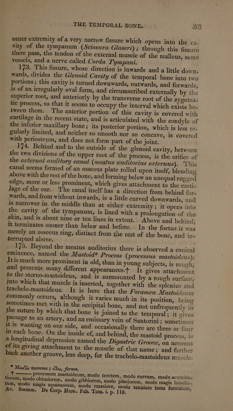 THE TEMPORAL BONE, mo outer extremity of a very narrow fissure which opens into the ca- vity of the tympanum (Scisswra Glasert) ; through this fissure there pass, the tendon of the external muscle of the malleus, some vessels, and a nerve called Corda Tympani. 173. This fissure, whose direction is inwards and a little down- wards, divides the Glenoid Cavity of the temporal bone into two portions ; this cavity is turned downwards, outwards, and forwards, is of an irregularly oval form, and circumscribed externally by the superior root, and anteriorly by the transverse root of the zygoma- tic process, so that it seems to occupy the interval which exists be. tween them. The anterior portion of this cavity is covered with cartilage in the recent state, and is articulated with the condyle of the inferior maxillary bone; its posterior portion, which is less re. gularly limited, and neither so smooth nor so concave, is covered with periosteum, and does not form part of the joint. 174. Behind and to the outside of the glenoid cavity, between the two divisions of the upper root of the process, is the orifice of the external auditory canal (meatus auditorius externus). This canal seems formed of an osseous plate rolled upon itself, blending above with the rest of the bone, and forming below an unequal rugged edge, more or less prominent, which gives attachment to the carti.. lage of the ear. The canal itself has a direction from behind for- wards, and from without inwards, is a little curved downwards, and 4s narrower in the middle than at either extremity ; it opens intd the cavity of the tympanum, is lined with a prolongation of the skin, and is about nine or ten lines in extent. Above and behind, it terminates sooner than below and. before. In the foetus it wag merely an osseous ring, distinct from the rest of the bone, and ins terrupted above. , | 175. Beyond the meatus auditorius there is observed a conical eminence, named the Mastoid* Process (processus mastoideus), Itis much more prominent in old, than in young subjects, is rough, and presents many different appearances.t It gives attachment to the sterno-mastoideus, and is surmounted by a rough surface, into which that muscle is Inserted, together with the splenius and trachelo-mastoideus. It is here that the Foramen Mastoideruw commonly occurs, although it varies much in its position, being sometimes met with in the occipital bone, and not unfrequently in the suture by which that bone is joined to the temporal ; it gives passage to an artery, and an emissary vein of Santorini; sometimes’ it is wanting on one side, and occasionally there are three or four in each bone. On the inside of, and behind, the mastoid process, is’ a longitudinal depression named the Digastric Groove, on account of its giving attachment to the muscle of that name; and farther back another groove, less deep, for the trachelo-mastoideus muscle. * Macls mamma ; #1008, forma, . + ——— processum mastoideum, modo teretem » Iqdo curyum, modo acuminas tiorem, modo obtusiorem, modo gibbiorem, modo planiorem, modo magis lamel!a- tum, modo magis squamosum, moda crassiore, modo tenuiore testa formatum, &amp;c. Soemm. De Corp. Hum. Fab, Tom. i. p. 116. /