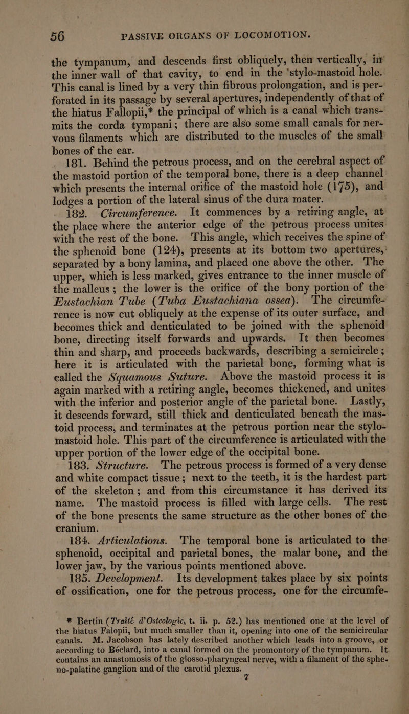 the tympanum, and descends first obliquely, then vertically, in’ the inner wall of that cavity, to end in the ‘stylo-mastoid hole. This canal is lined by a very thin fibrous prolongation, and is per- forated in its passage by several apertures, independently of that of the hiatus Fallopui,* the principal of which is a canal which trans- mits the corda tympani; there are also some small canals for ner- vous filaments which are distributed to the muscles of the small bones of the ear. 181. Behind the petrous process, and on the cerebral aspect of the mastoid portion of the temporal bone, there is a deep channel which presents the internal orifice of the mastoid hole (175), and lodges a portion of the lateral sinus of the dura mater. ; 182. Circumference. It commences by a retiring angle, at the place where the anterior edge of the petrous process unites with the rest of the bone. This angle, which receives the spine of the sphenoid bone (124), presents at its bottom two apertures,’ separated by a bony lamina, and placed one above the other. The upper, which is less marked, gives entrance to the inner muscle of the malleus; the lower is the orifice of the bony portion of the Eustachian Tube (Tuba Eustachiana ossea). The circumfe- rence is now cut obliquely at the expense of its outer surface, and becomes thick and denticulated to be joined with the sphenoid bone, directing itself forwards and upwards. It then becomes thin and sharp, and proceeds backwards, describing a semicircle ; here it is articulated with the parietal bone, forming what is called the Squamous Suture. Above the mastoid process it is again marked with a retiring angle, becomes thickened, and unites with the inferior and posterior angle of the parietal bone. Lastly, it descends forward, still thick and denticulated beneath the mas- toid process, and terminates at the petrous portion near the stylo- mastoid hole. This part of the circumference is articulated with the upper portion of the lower edge of the occipital bone. 183. Structure. The petrous process is formed of a very dense and white compact tissue; next to the teeth, it is the hardest part of the skeleton; and from this circumstance it has derived its name. The mastoid process is filled with large cells. The rest of the bone presents the same structure as the other bones of the cranium. 184. Articulations. The temporal bone is articulated to the’ sphenoid, occipital and parietal bones, the malar bone, and the lower jaw, by the various points mentioned above. 185. Development. Its development takes place by six points of ossification, one for the petrous process, one for the circumfe- ® Bertin (Traité d’Ostcologie, t. ii. p. 52.) has mentioned one at the level of the hiatus Falopii, but much smaller than it, opening into one of the semicircular canals. M. Jacobson has lately described another which leads into a groove, .or according to Béclard, into a canal formed on the promontory of the tympanum. It contains an anastomosis of the glosso-pharyngeal nerve, with a filament of the sphe- no-palatine ganglion and of the carotid plexus.