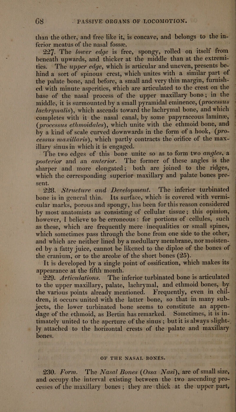 ~ 68 ’ PASSIVE ORGANS OF LOCOMOTION. than the other, and free like it, is concave, and belongs to the in- ferior meatus of the nasal fossee. 227. The lower edge is free, spongy, rolled on itself from ties. The upper edge, which is articular and uneven, presents be- hind a sort of spinous crest, which unites with a similar part of the palate bone, and before, a small and very thin margin, furnish- ed with minute asperities, which are articulated to the crest on the base of the nasal process of the upper maxillary bone; in the middle, it is surmounted by a small pyramidal eminence, (processus lachrymalis), which ascends toward the lachrymal bone, and which completes with it the nasal canal, by some papyraceous lamine, (processus ethmoidales), which unite with the ethmoid bone, and hi aaa Mere Ss illary sinusin which it is engaged. posterior and an anterior. The former of these angles is the which the corresponding superior maxillary and palate bones pre- sent. 228. Structure and Development. The inferior turbinated cular marks, porous and spongy, has been for this reason considered by most anatomists as consisting of cellular tissue; this opmion, however, I believe to be erroneous: for portions of cellules, such as these, which are frequently mere inequalities or small spines, which sometimes pass through the bone from one side to the other, the cranium, or to the areolee of the short bones (25). appearance at the fifth month. | 229. Articulations. The inferior turbinated bone is articulated to the upper maxillary, palate, lachrymal, and ethmoid bones, by. the various points already mentioned. Frequently, even in chil- dren, it occurs united with the latter bone, so that in many sub- jects, the lower turbinated bone seems to constitute an appen- dage of the ethmoid, as Bertin has remarked. Sometimes, it is in- bones. OF THE NASAL BONES. 230. Form. The Nasal Bones (Ossa Nasi), are of small size, and occupy the interval existing between the two ascending pro-