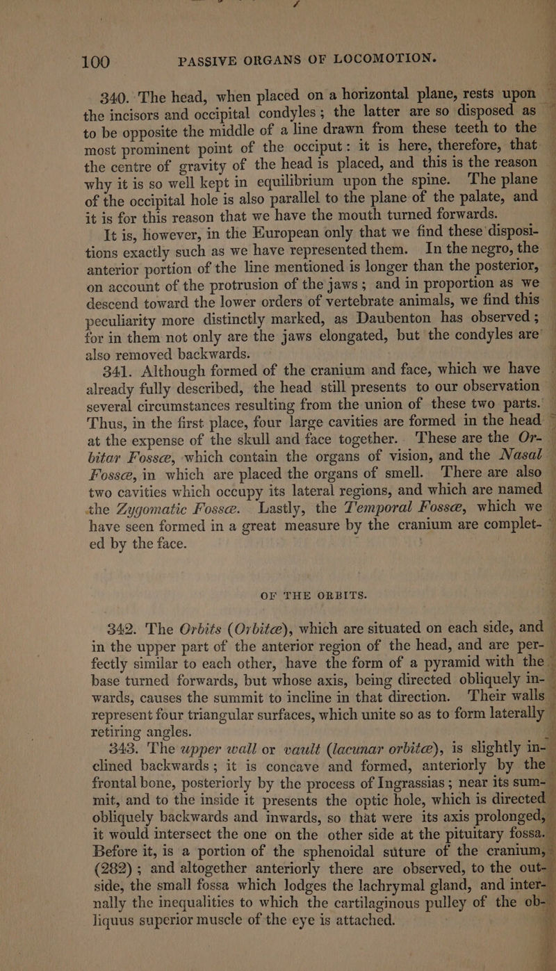 340. The head, when placed on a horizontal plane, rests upon — the incisors and occipital condyles; the latter are so disposed as — to be opposite the middle of a line drawn from these teeth to the most prominent point of the occiput: it is here, therefore, that — the centre of gravity of the head is placed, and this is the reason — why it is so well kept in equilibrium upon the spine. The plane of the occipital hole is also parallel to the plane of the palate, and it is for this reason that we have the mouth turned forwards. It is, however, in the European only that we find these’disposi- tions exactly such as we have representedthem. In the negro, the anterior portion of the line mentioned is longer than the posterior, — on account of the protrusion of the jaws; and in proportion as we descend toward the lower orders of vertebrate animals, we find this peculiarity more distinctly marked, as Daubenton has observed 5 — for in them not only are the jaws elongated, but the condyles are’ ~ also removed backwards. 341. Although formed of the cranium and face, which we have . already fully described, the head still presents to our observation — several circumstances resulting from the union of these two parts. — Thus, in the first place, four large cavities are formed in the head at the expense of the skull and face together.. These are the Or- — bitar Fosse, which contain the organs of vision, and the Nasal a Fosse, in which are placed the organs of smell. There are also — two cavities which occupy its lateral regions, and which are named the Zygomatic Fosse. Lastly, the Temporal Fosse, which we have seen formed in a great measure by the cranium are complet- © ed by the face. | | | a OF THE ORBITS. 342. The Orbits (Orbit), which are situated on each side, and ; in the upper part of the anterior region of the head, and are per- — fectly similar to each other, have the form of a pyramid with the : base turned forwards, but whose axis, being directed obliquely in- , wards, causes the summit to incline in that direction. Their walls — represent four triangular surfaces, which unite so as to form laterally i) 1 b obliquely backwards and inwards, so that were its axis kary eeal ee nally the inequalities to which the cartilagimous pulley of the ob- liquus superior muscle of the eye is attached. a