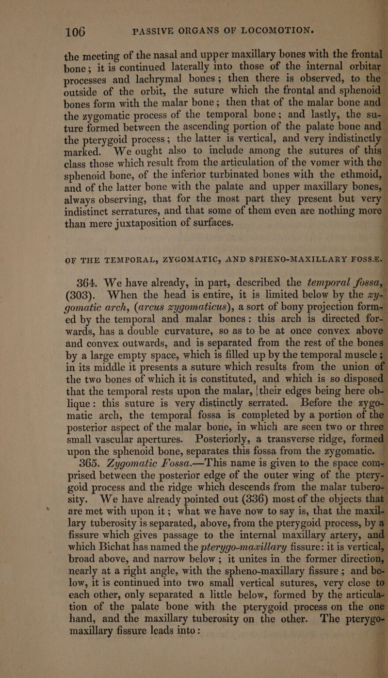 a fs Rome ae y= “8 the meeting of the nasal and upper maxillary bones with the frontal pone; it is continued laterally into those of the internal orbitar processes and lachrymal bones ; then there is observed, to the outside of the orbit, the suture which the frontal and sphenoid bones form with the malar bone; then that of the malar bone and the zygomatic process of the temporal bone; and lastly, the su-_ ture formed between the ascending portion of the palate bone and- the pterygoid process; the latter is vertical, and very indistinctly marked. We ought also to include among the sutures of ‘hil class those which result from the articulation of the vomer with the sphenoid bone, of the inferior turbinated bones with the an than mere juxtaposition of surfaces. . OF THE TEMPORAL, ZYGOMATIC, AND SPHENO-MAXILLARY FOSSA. 364. We have already, in part, described the temporal fossa, (303). When the head is entire, it is limited below by the zy gomatic arch, (arcus zygomaticus), a sort of bony projection form= ed by the temporal and malar bones: this arch is directed for-_ wards, has a double curvature, so as to be at once convex above and convex outwards, and is separated from the rest of the bones by a large empty space, which is filled up by the temporal muscle 5 in its middle it presents a suture which results from the union of the two bones of which it is constituted, and which is so disposed that the temporal rests upon the malar, their edges being here ob- lique: this suture is very distinctly serrated. Before the zygo- matic arch, the temporal fossa is completed by a portion of the posterior aspect of the malar bone, in which are seen two or three small vascular apertures. Posteriorly, a transverse ridge, formed upon the sphenoid bone, separates this fossa from the zygomatic. i; 365. Zygomatic Fossa.—This name is given to the space com= prised between the posterior edge of the outer wing of the ptery- goid process and the ridge which descends from the malar tubero- sity. We have already pointed out (336) most of the objects that are met with upon it; what we have now to say is, that the maxil- lary tuberosity is separated, above, from the pterygoid process, by a fissure which gives passage to the internal maxillary artery, and which Bichat has named the pterygo-mawillary fissure: it is vertical, broad above, and narrow below; it unites in the former direction, nearly at a right angle, with the spheno-maxillary fissure; and be- low, it is continued into two small vertical sutures, very close to each other, only separated a little below, formed by the articulae tion of the palate bone with the pterygoid process on the one hand, and the maxillary tuberosity on the other. The pterygo- maxillary fissure leads into: a